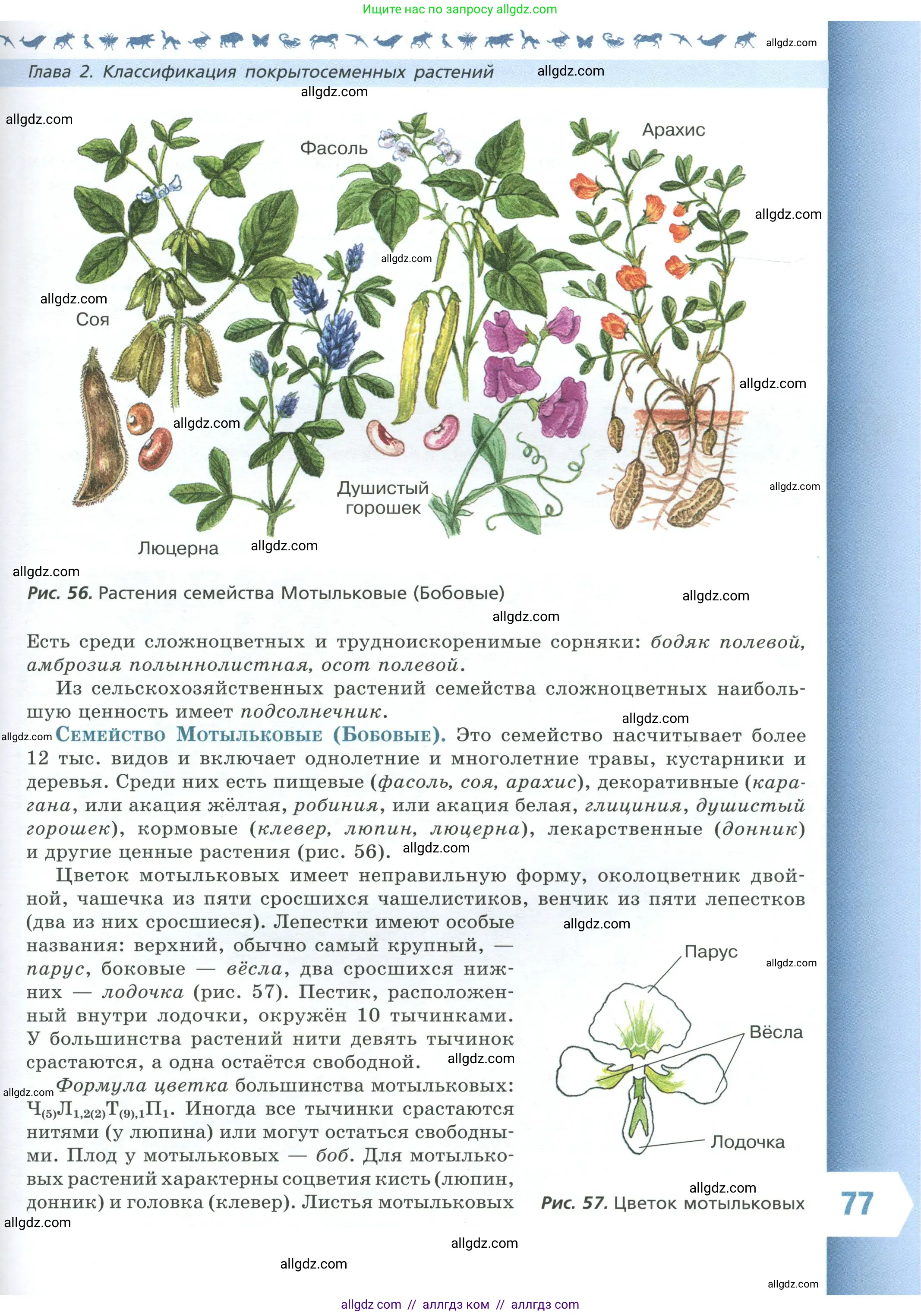 Биология, 7 класс Учебник, авторы: Пасечник Владимир Васильевич, Суматохин Сергей Витальевич, Гапонюк Зоя Георгиевна, Швецов Глеб Геннадьевич, издательство Просвещение, Москва, 2023, бирюзового цвета, страница 77