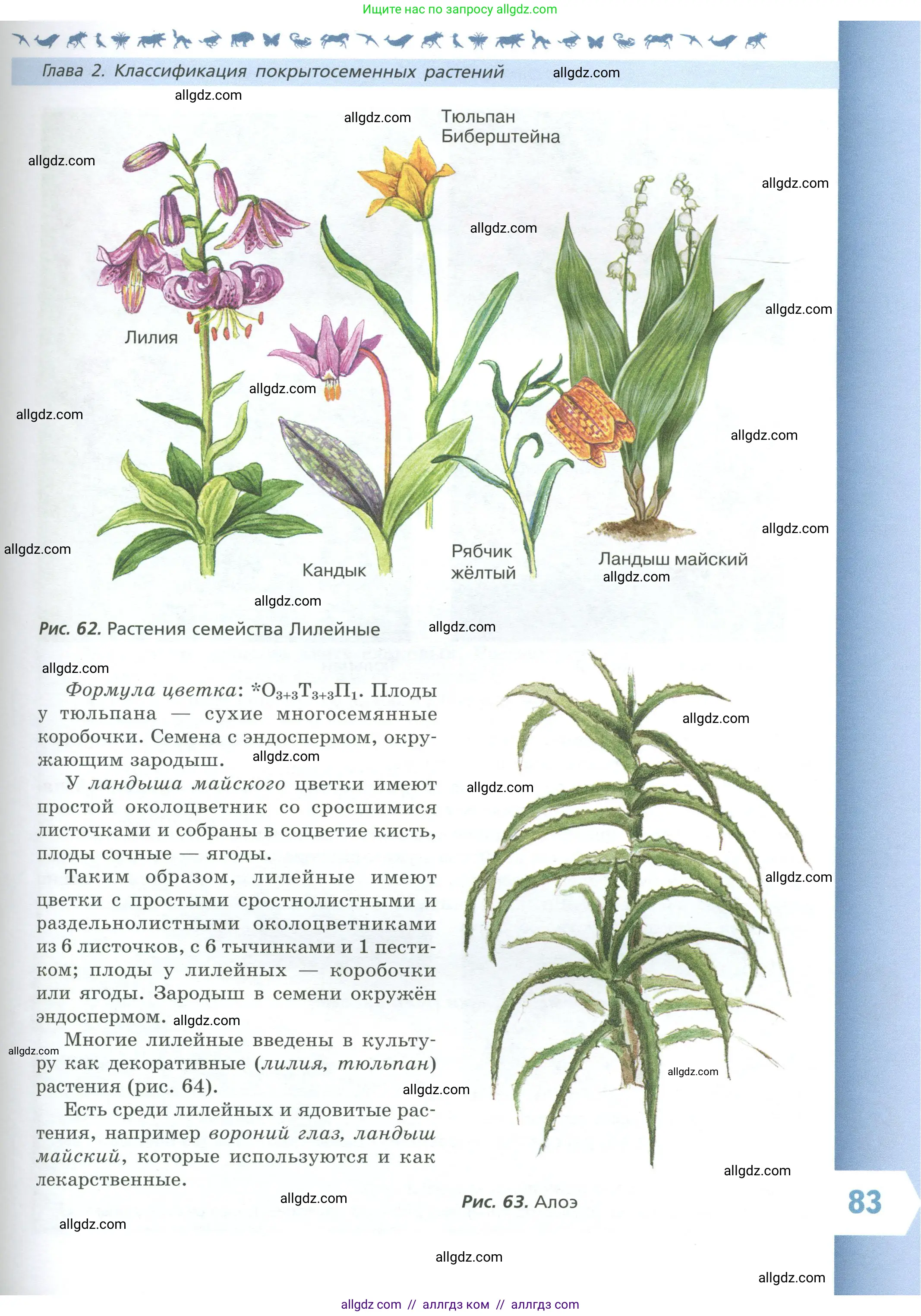 Биология, 7 класс Учебник, авторы: Пасечник Владимир Васильевич, Суматохин Сергей Витальевич, Гапонюк Зоя Георгиевна, Швецов Глеб Геннадьевич, издательство Просвещение, Москва, 2023, бирюзового цвета, страница 83