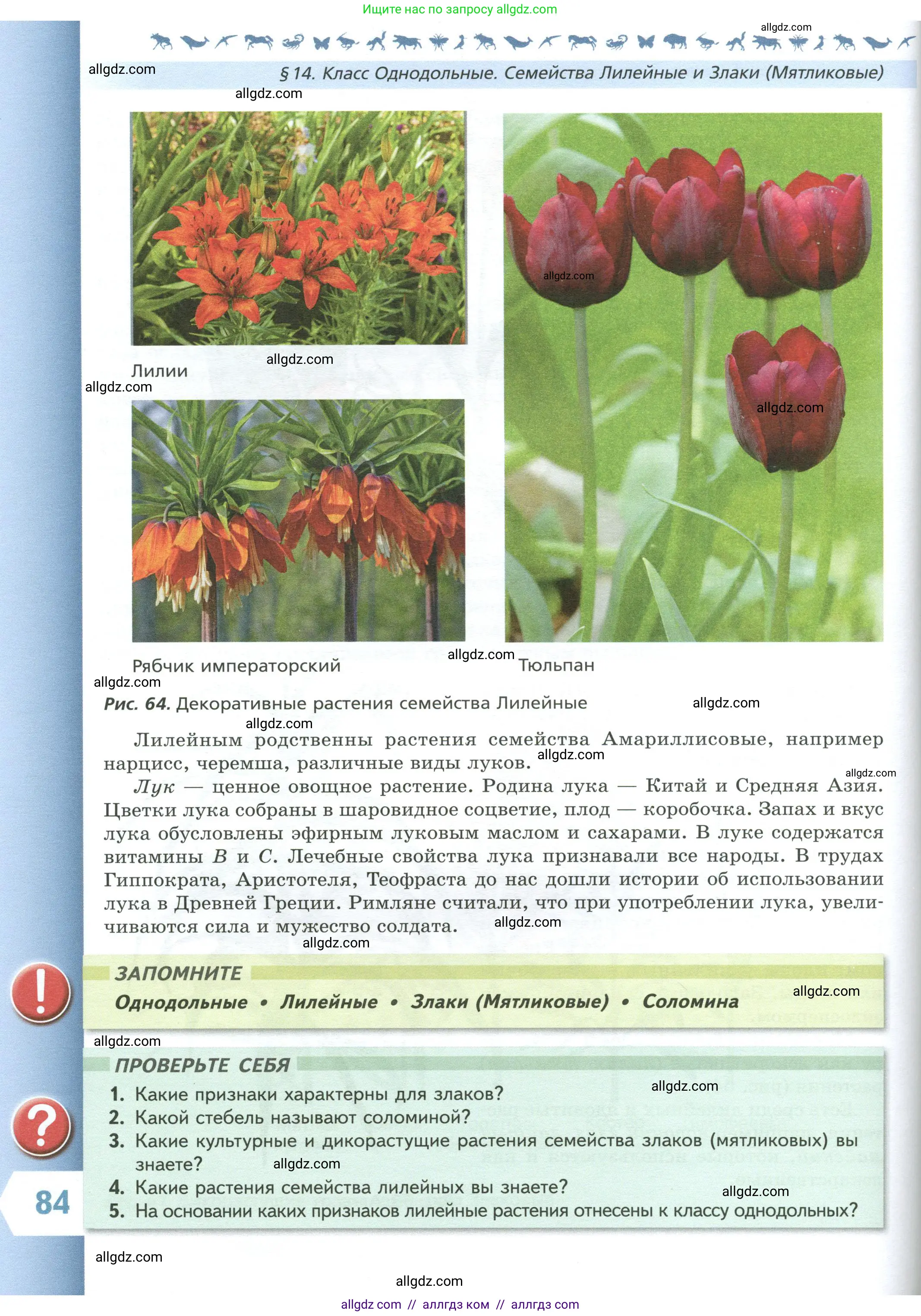 Биология, 7 класс Учебник, авторы: Пасечник Владимир Васильевич, Суматохин Сергей Витальевич, Гапонюк Зоя Георгиевна, Швецов Глеб Геннадьевич, издательство Просвещение, Москва, 2023, бирюзового цвета, страница 84