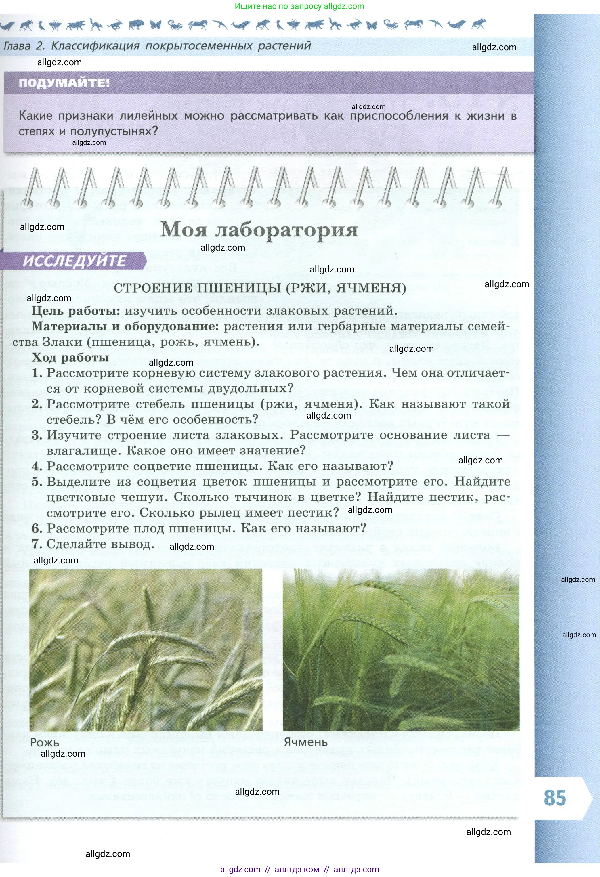 Биология, 7 класс Учебник, авторы: Пасечник Владимир Васильевич, Суматохин Сергей Витальевич, Гапонюк Зоя Георгиевна, Швецов Глеб Геннадьевич, издательство Просвещение, Москва, 2023, бирюзового цвета, страница 85