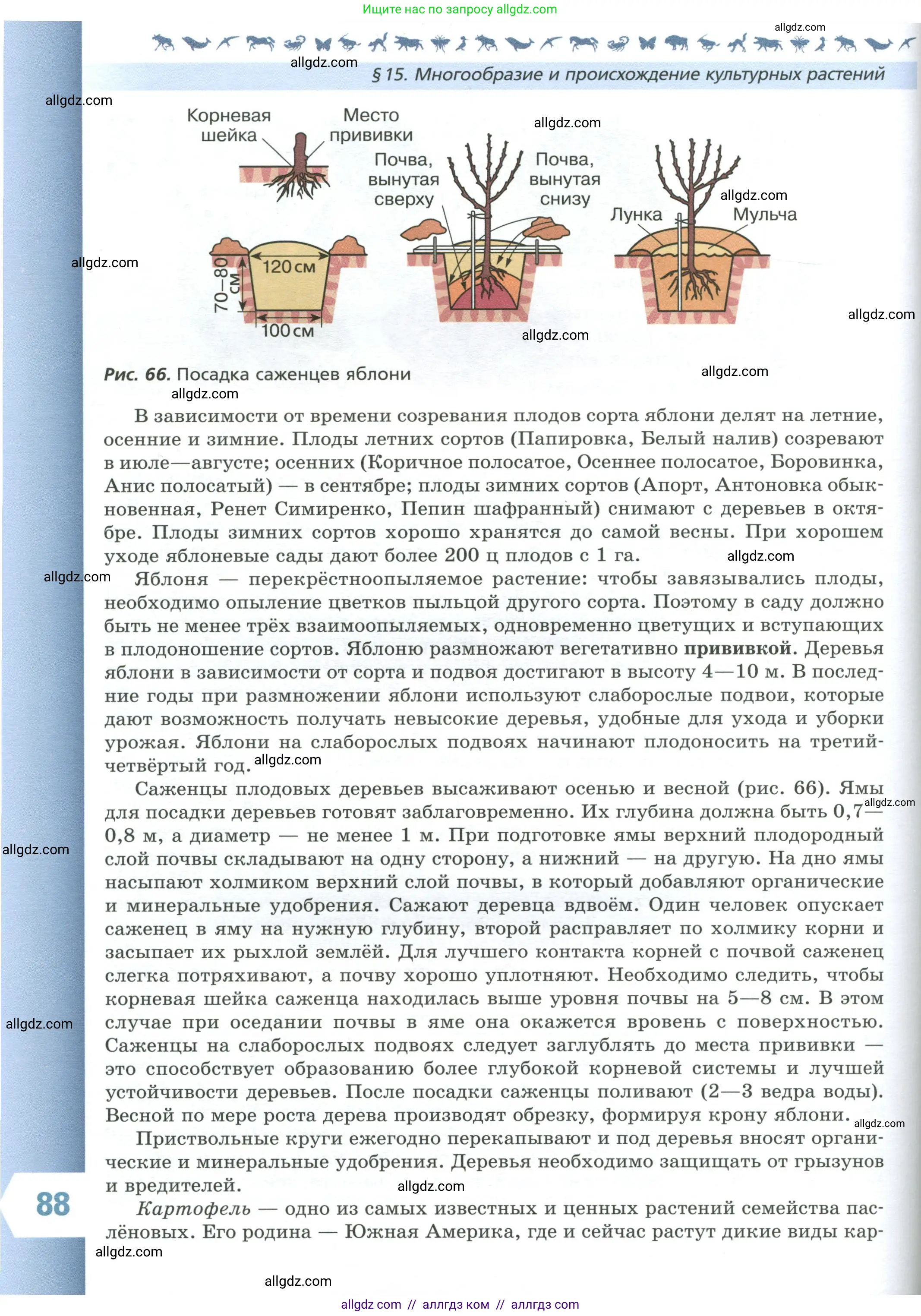 Биология, 7 класс Учебник, авторы: Пасечник Владимир Васильевич, Суматохин Сергей Витальевич, Гапонюк Зоя Георгиевна, Швецов Глеб Геннадьевич, издательство Просвещение, Москва, 2023, бирюзового цвета, страница 88