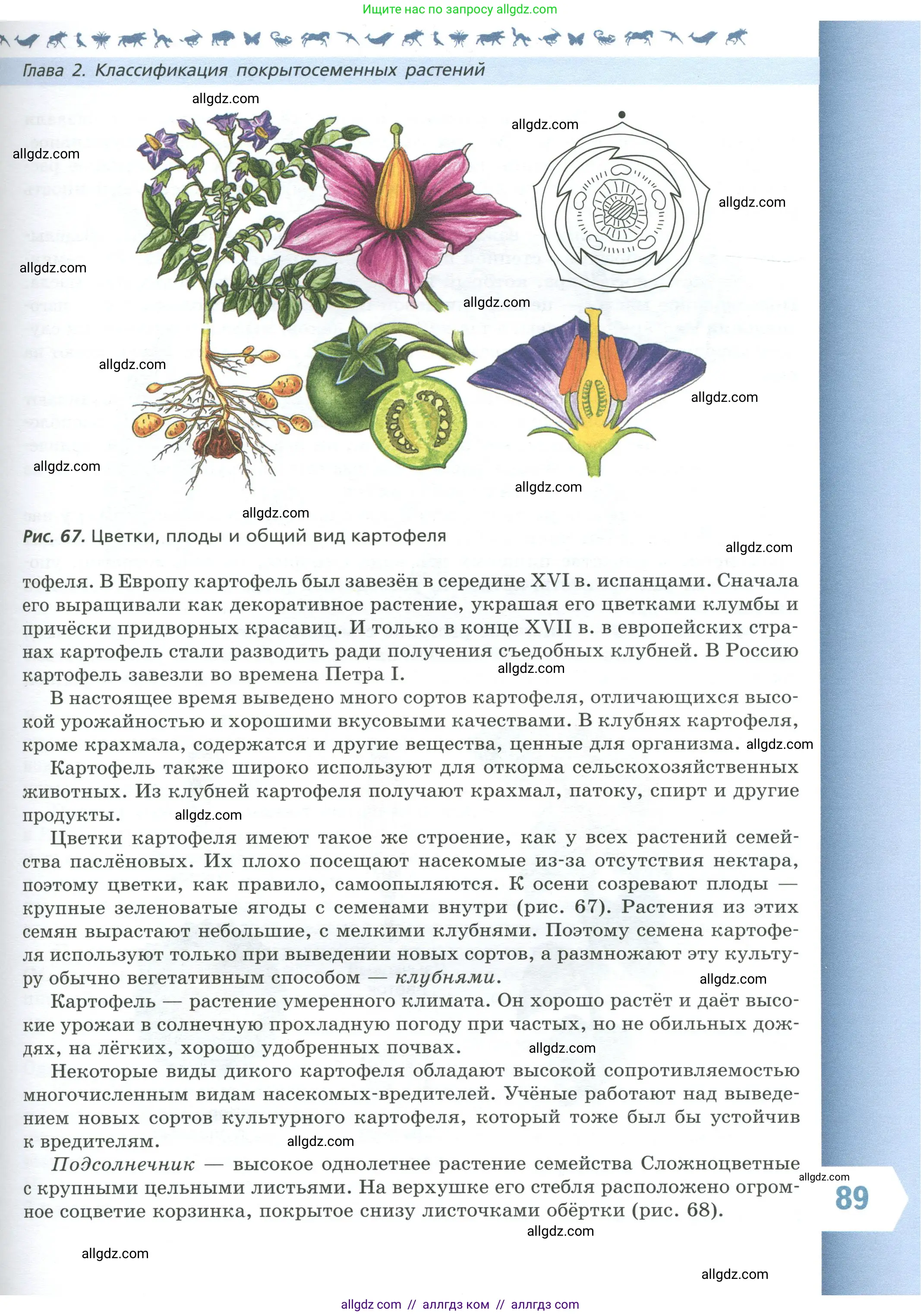Биология, 7 класс Учебник, авторы: Пасечник Владимир Васильевич, Суматохин Сергей Витальевич, Гапонюк Зоя Георгиевна, Швецов Глеб Геннадьевич, издательство Просвещение, Москва, 2023, бирюзового цвета, страница 89