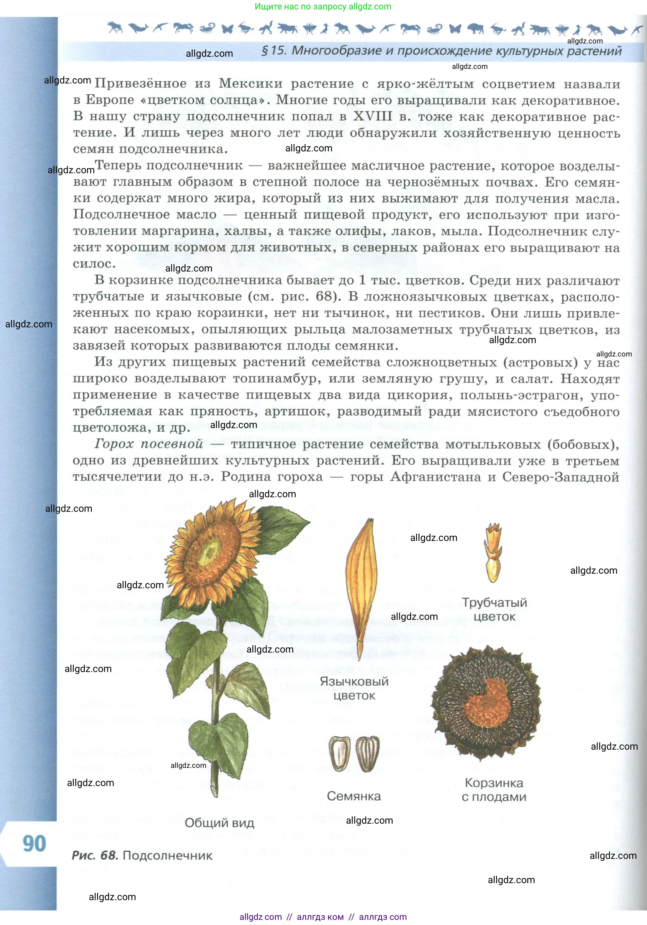 Биология, 7 класс Учебник, авторы: Пасечник Владимир Васильевич, Суматохин Сергей Витальевич, Гапонюк Зоя Георгиевна, Швецов Глеб Геннадьевич, издательство Просвещение, Москва, 2023, бирюзового цвета, страница 90