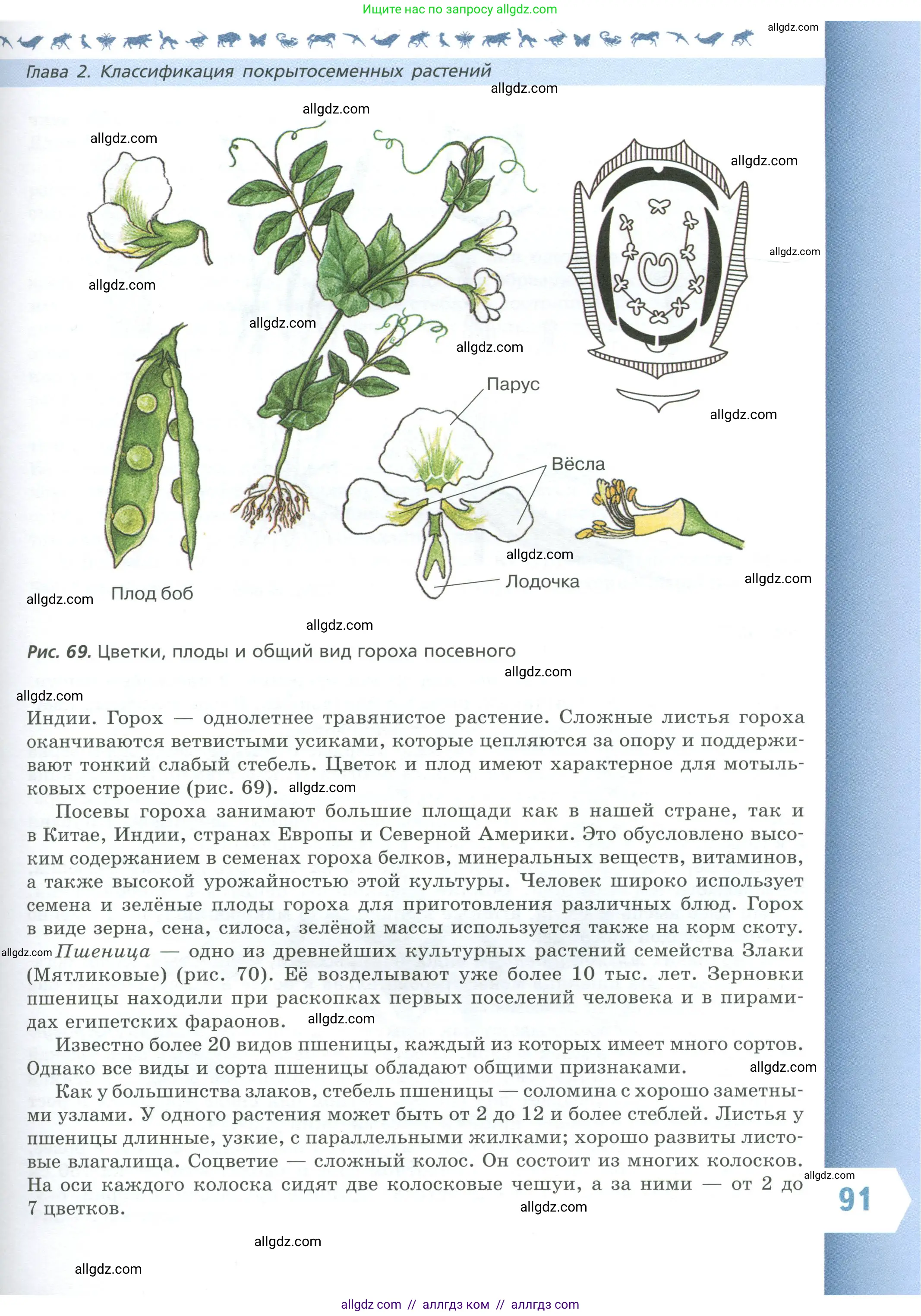 Биология, 7 класс Учебник, авторы: Пасечник Владимир Васильевич, Суматохин Сергей Витальевич, Гапонюк Зоя Георгиевна, Швецов Глеб Геннадьевич, издательство Просвещение, Москва, 2023, бирюзового цвета, страница 91