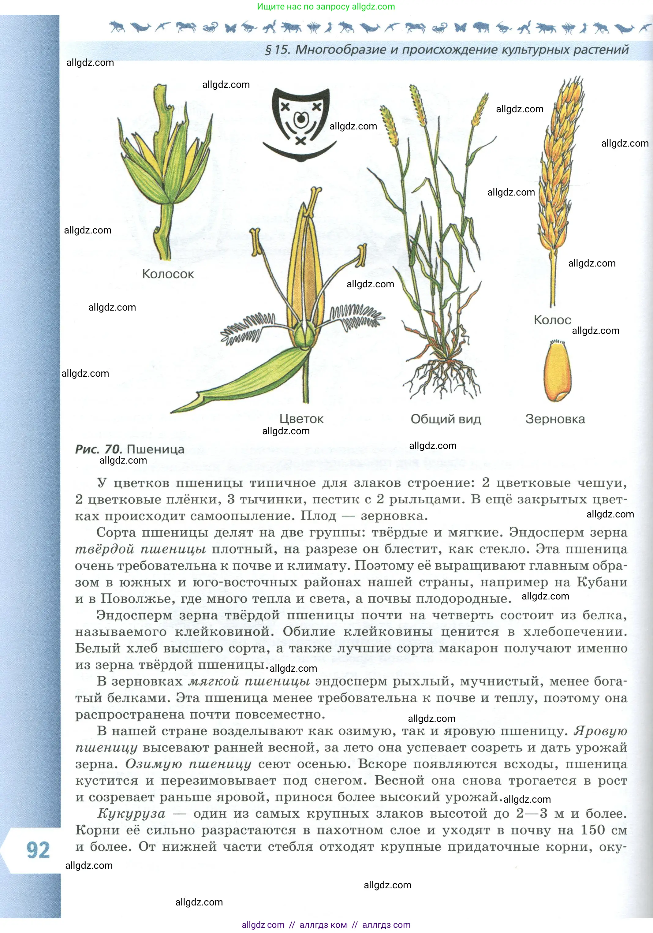 Биология, 7 класс Учебник, авторы: Пасечник Владимир Васильевич, Суматохин Сергей Витальевич, Гапонюк Зоя Георгиевна, Швецов Глеб Геннадьевич, издательство Просвещение, Москва, 2023, бирюзового цвета, страница 92