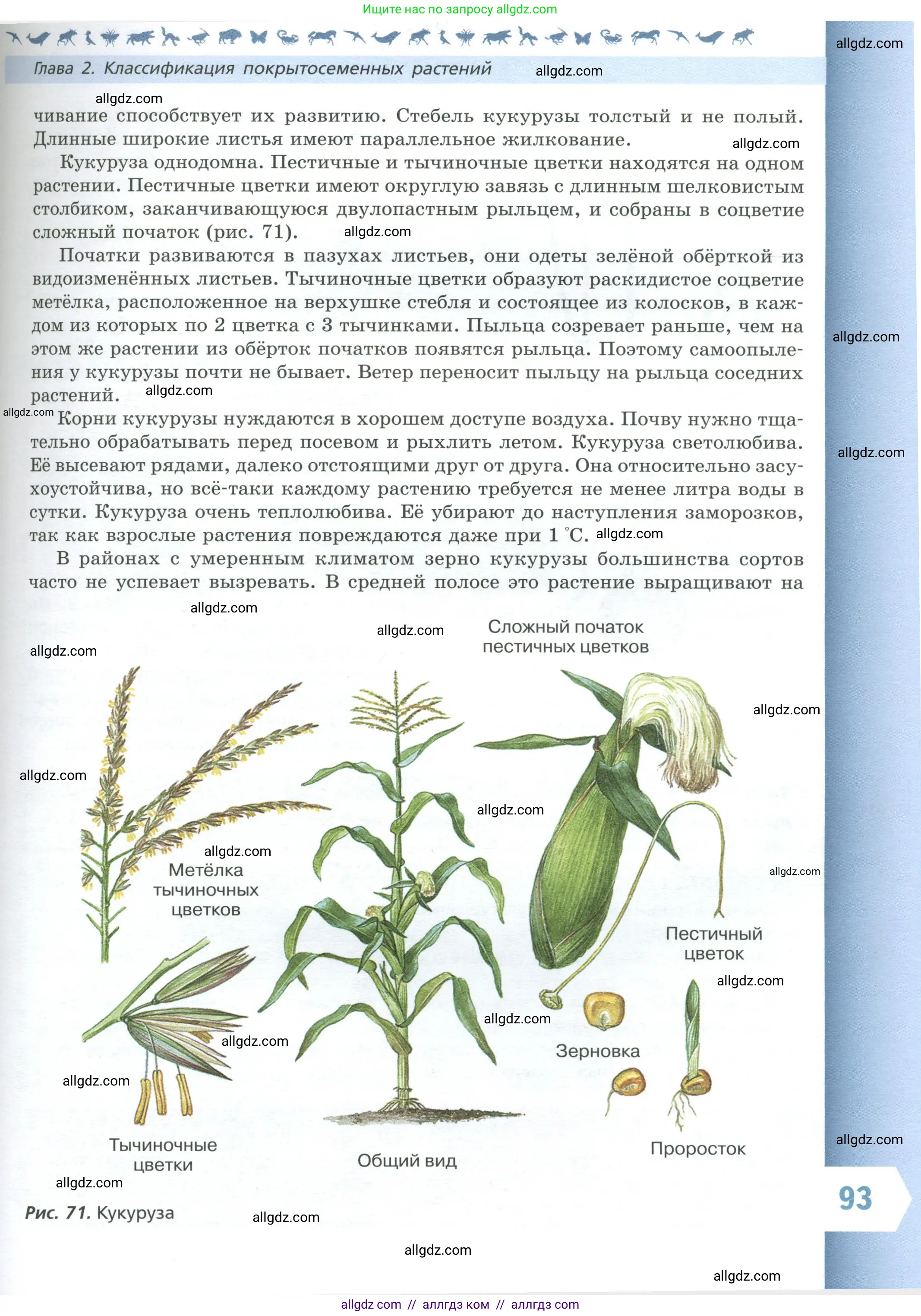 Биология, 7 класс Учебник, авторы: Пасечник Владимир Васильевич, Суматохин Сергей Витальевич, Гапонюк Зоя Георгиевна, Швецов Глеб Геннадьевич, издательство Просвещение, Москва, 2023, бирюзового цвета, страница 93