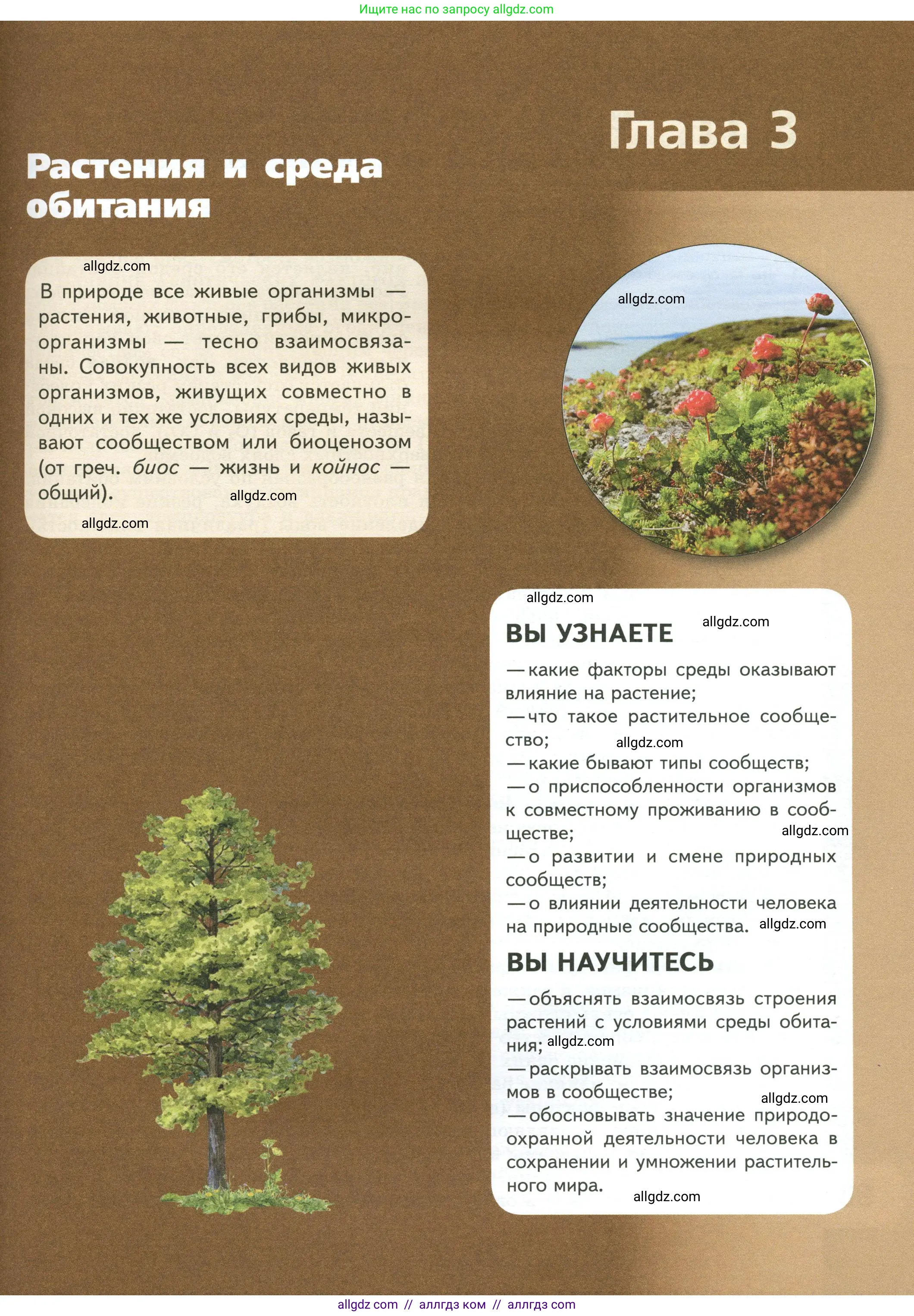 Биология, 7 класс Учебник, авторы: Пасечник Владимир Васильевич, Суматохин Сергей Витальевич, Гапонюк Зоя Георгиевна, Швецов Глеб Геннадьевич, издательство Просвещение, Москва, 2023, бирюзового цвета, страница 97