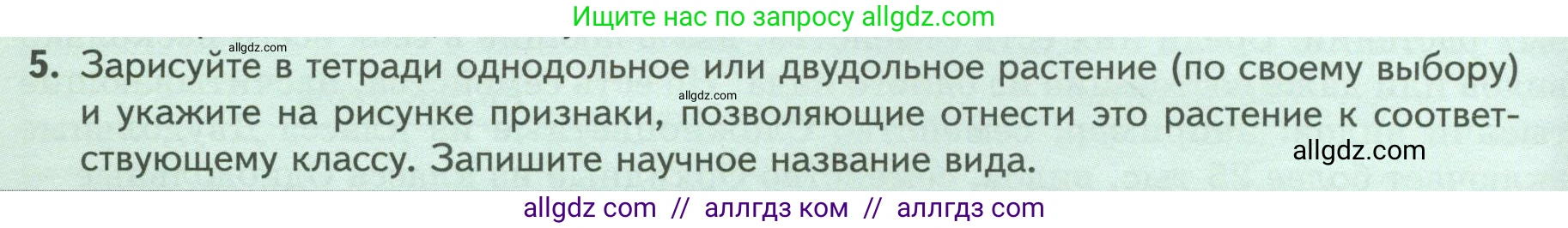 Биология, 7 класс Учебник, авторы: Пасечник Владимир Васильевич, Суматохин Сергей Витальевич, Гапонюк Зоя Георгиевна, Швецов Глеб Геннадьевич, издательство Просвещение, Москва, 2023, бирюзового цвета, страница 66, номер 5, Условие