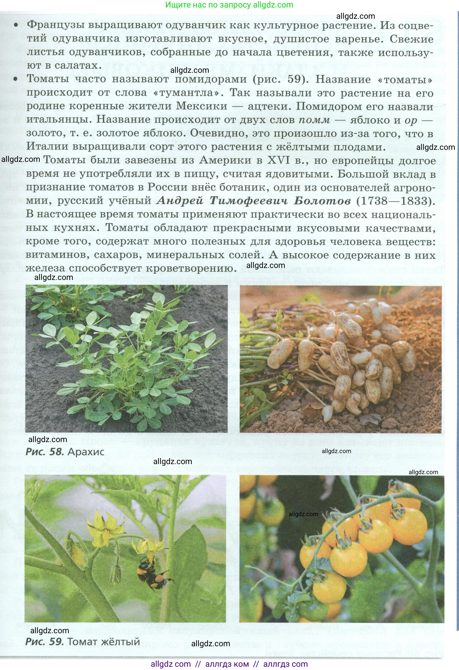 Биология, 7 класс Учебник, авторы: Пасечник Владимир Васильевич, Суматохин Сергей Витальевич, Гапонюк Зоя Георгиевна, Швецов Глеб Геннадьевич, издательство Просвещение, Москва, 2023, бирюзового цвета, страница 78, Условие (продолжение 2)