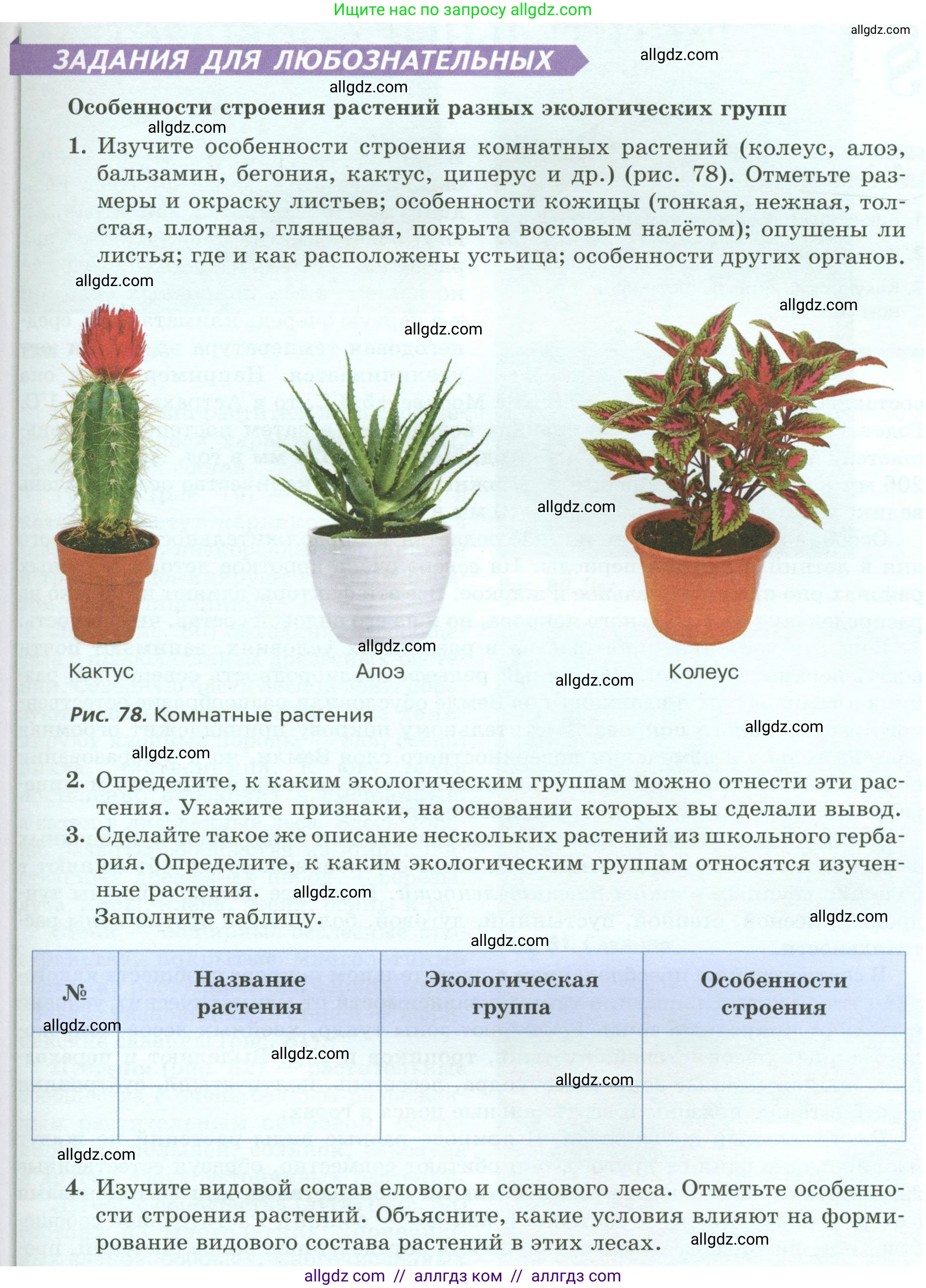 Биология, 7 класс Учебник, авторы: Пасечник Владимир Васильевич, Суматохин Сергей Витальевич, Гапонюк Зоя Георгиевна, Швецов Глеб Геннадьевич, издательство Просвещение, Москва, 2023, бирюзового цвета, страница 106, Условие (продолжение 2)