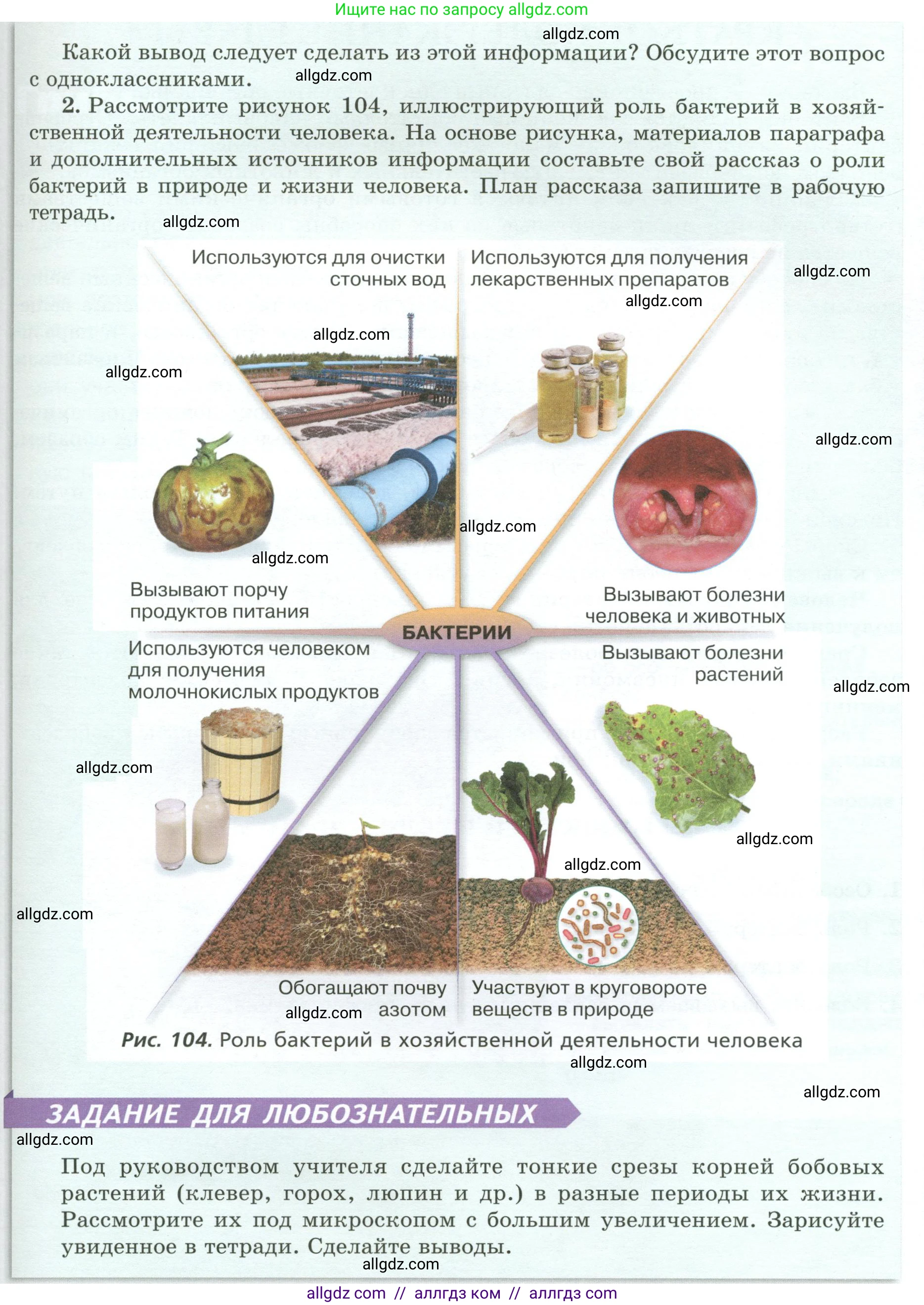 Биология, 7 класс Учебник, авторы: Пасечник Владимир Васильевич, Суматохин Сергей Витальевич, Гапонюк Зоя Георгиевна, Швецов Глеб Геннадьевич, издательство Просвещение, Москва, 2023, бирюзового цвета, страница 138, Условие (продолжение 2)