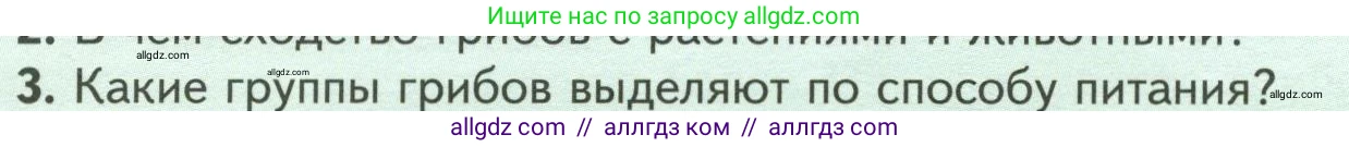 Биология, 7 класс Учебник, авторы: Пасечник Владимир Васильевич, Суматохин Сергей Витальевич, Гапонюк Зоя Георгиевна, Швецов Глеб Геннадьевич, издательство Просвещение, Москва, 2023, бирюзового цвета, страница 146, номер 3, Условие