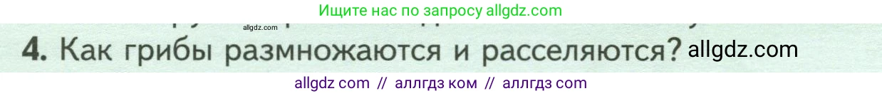 Биология, 7 класс Учебник, авторы: Пасечник Владимир Васильевич, Суматохин Сергей Витальевич, Гапонюк Зоя Георгиевна, Швецов Глеб Геннадьевич, издательство Просвещение, Москва, 2023, бирюзового цвета, страница 146, номер 4, Условие