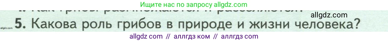 Биология, 7 класс Учебник, авторы: Пасечник Владимир Васильевич, Суматохин Сергей Витальевич, Гапонюк Зоя Георгиевна, Швецов Глеб Геннадьевич, издательство Просвещение, Москва, 2023, бирюзового цвета, страница 146, номер 5, Условие
