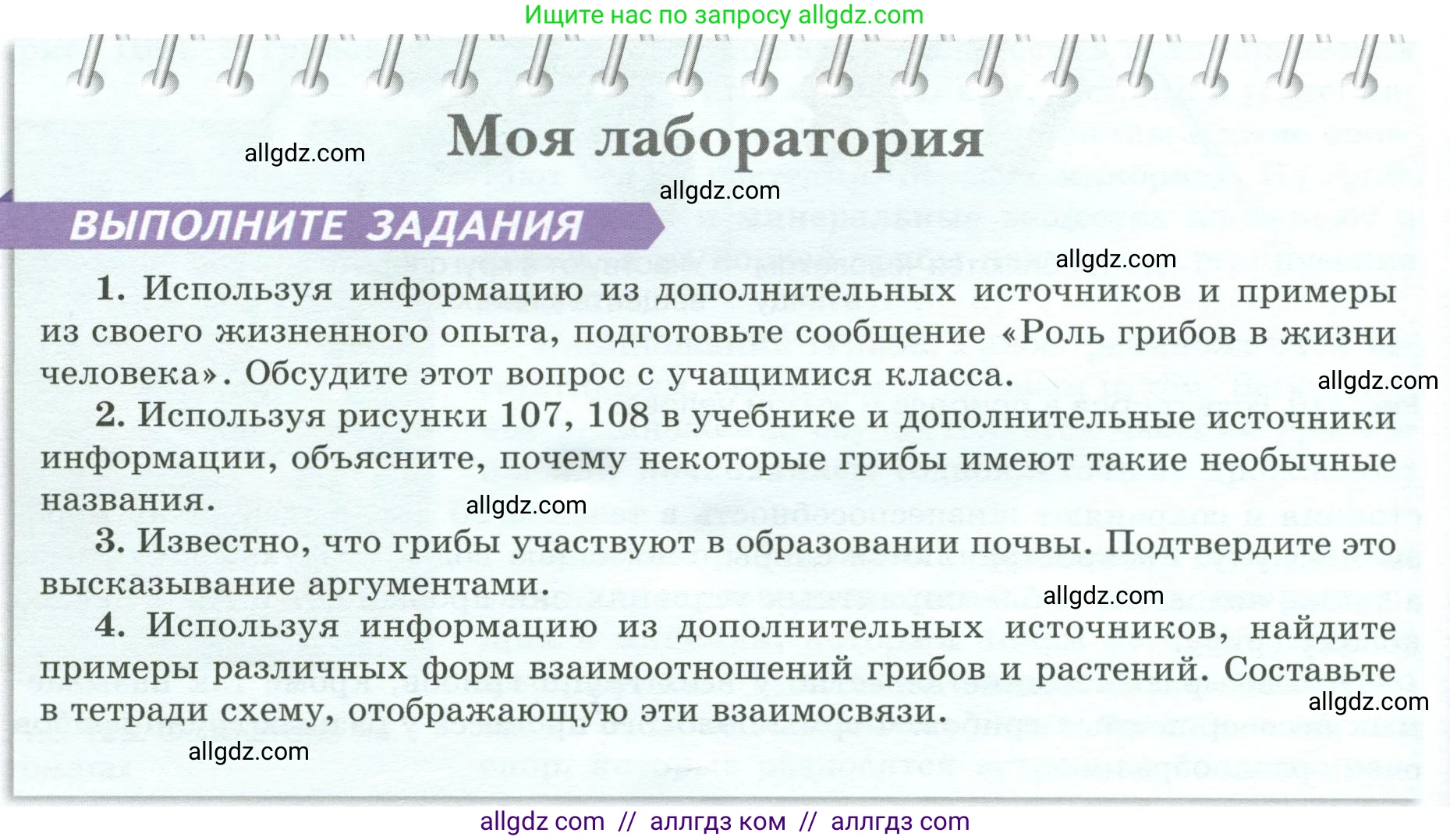 Биология, 7 класс Учебник, авторы: Пасечник Владимир Васильевич, Суматохин Сергей Витальевич, Гапонюк Зоя Георгиевна, Швецов Глеб Геннадьевич, издательство Просвещение, Москва, 2023, бирюзового цвета, страница 146, Условие