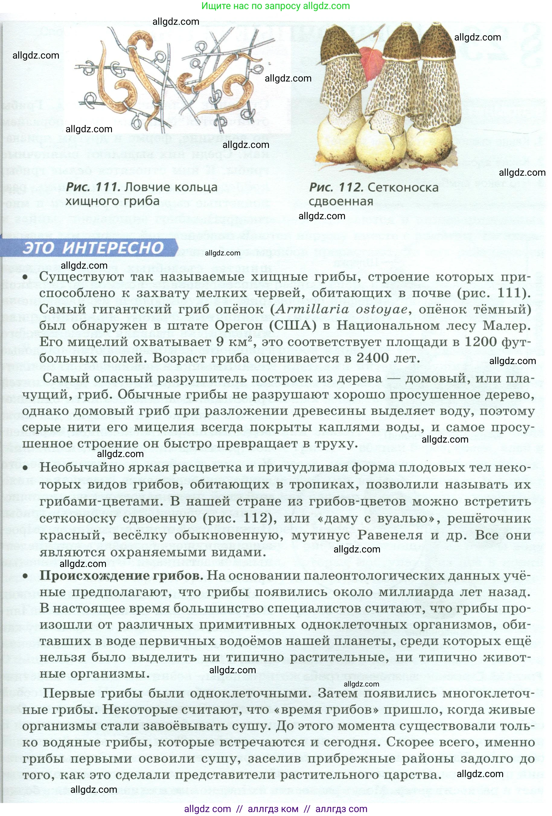 Биология, 7 класс Учебник, авторы: Пасечник Владимир Васильевич, Суматохин Сергей Витальевич, Гапонюк Зоя Георгиевна, Швецов Глеб Геннадьевич, издательство Просвещение, Москва, 2023, бирюзового цвета, страница 146, Условие (продолжение 2)