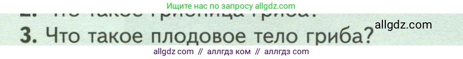 Биология, 7 класс Учебник, авторы: Пасечник Владимир Васильевич, Суматохин Сергей Витальевич, Гапонюк Зоя Георгиевна, Швецов Глеб Геннадьевич, издательство Просвещение, Москва, 2023, бирюзового цвета, страница 154, номер 3, Условие