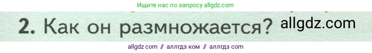 Биология, 7 класс Учебник, авторы: Пасечник Владимир Васильевич, Суматохин Сергей Витальевич, Гапонюк Зоя Георгиевна, Швецов Глеб Геннадьевич, издательство Просвещение, Москва, 2023, бирюзового цвета, страница 159, номер 2, Условие