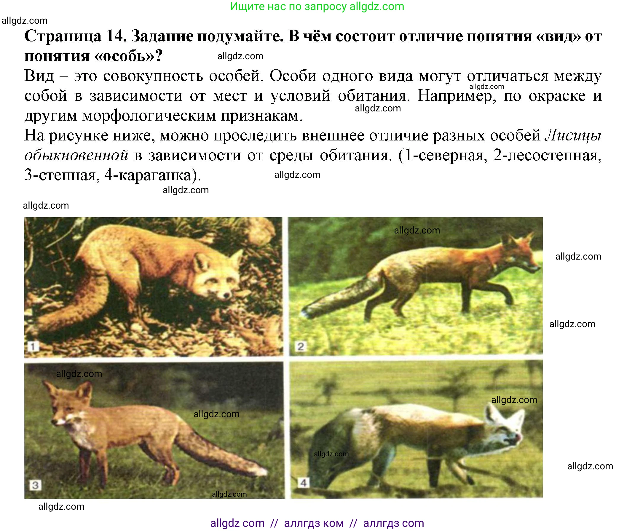 Биология, 7 класс Учебник, авторы: Пасечник Владимир Васильевич, Суматохин Сергей Витальевич, Гапонюк Зоя Георгиевна, Швецов Глеб Геннадьевич, издательство Просвещение, Москва, 2023, бирюзового цвета, страница 14, Решение 1