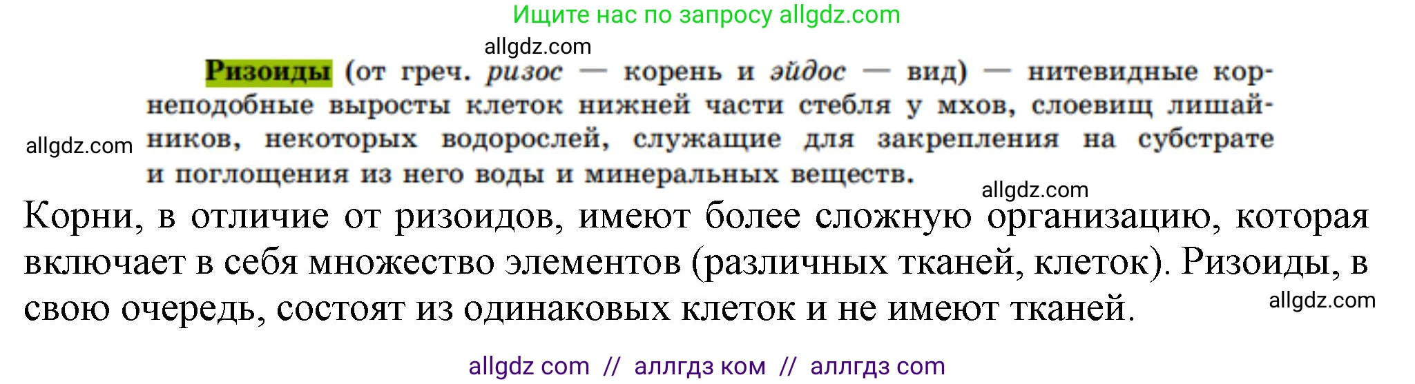 Биология, 7 класс Учебник, авторы: Пасечник Владимир Васильевич, Суматохин Сергей Витальевич, Гапонюк Зоя Георгиевна, Швецов Глеб Геннадьевич, издательство Просвещение, Москва, 2023, бирюзового цвета, страница 26, номер 3, Решение 1 (продолжение 2)