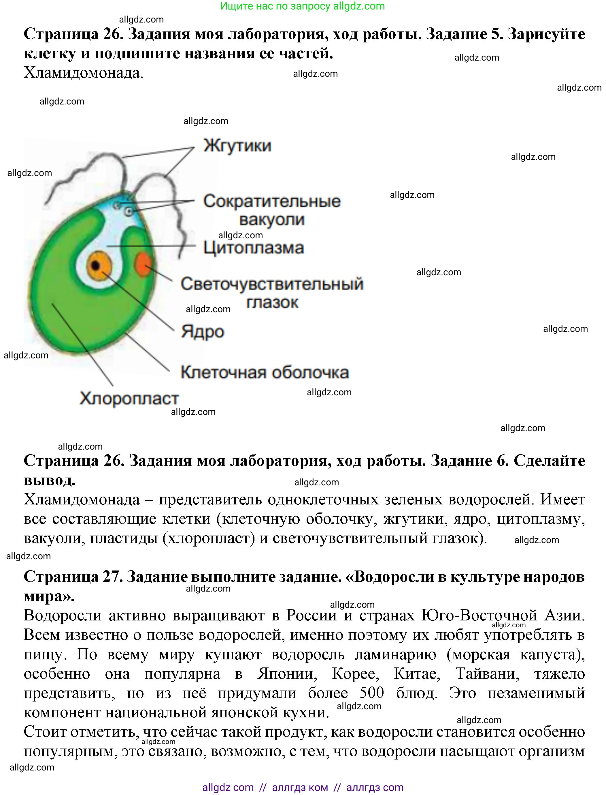 Биология, 7 класс Учебник, авторы: Пасечник Владимир Васильевич, Суматохин Сергей Витальевич, Гапонюк Зоя Георгиевна, Швецов Глеб Геннадьевич, издательство Просвещение, Москва, 2023, бирюзового цвета, страница 26, Решение 1