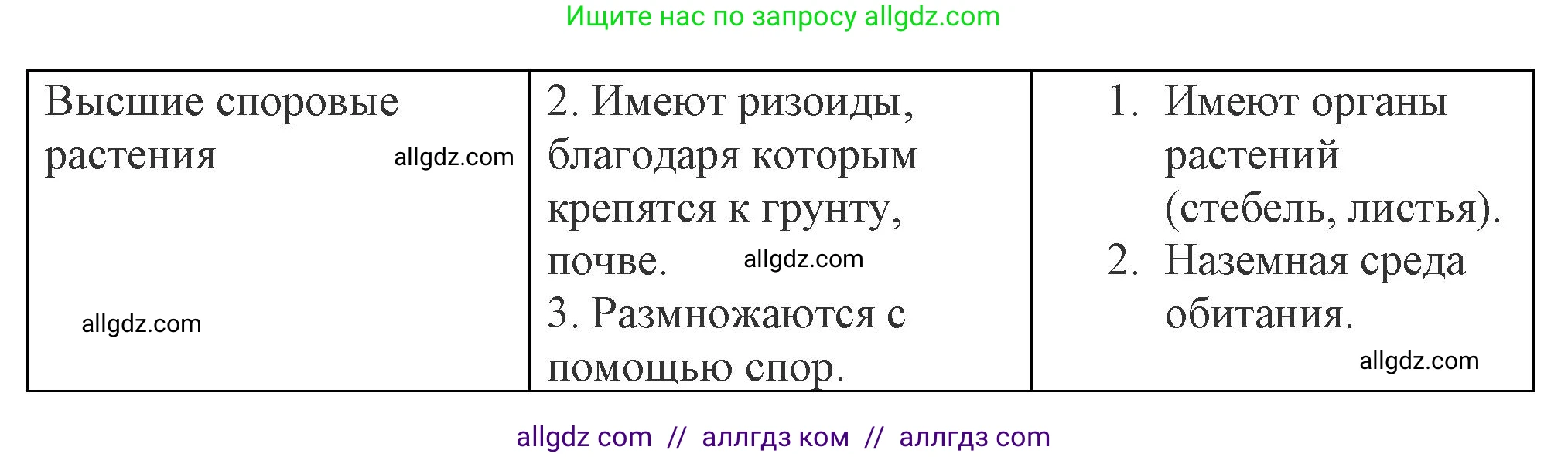 Биология, 7 класс Учебник, авторы: Пасечник Владимир Васильевич, Суматохин Сергей Витальевич, Гапонюк Зоя Георгиевна, Швецов Глеб Геннадьевич, издательство Просвещение, Москва, 2023, бирюзового цвета, страница 29, Решение 1 (продолжение 2)