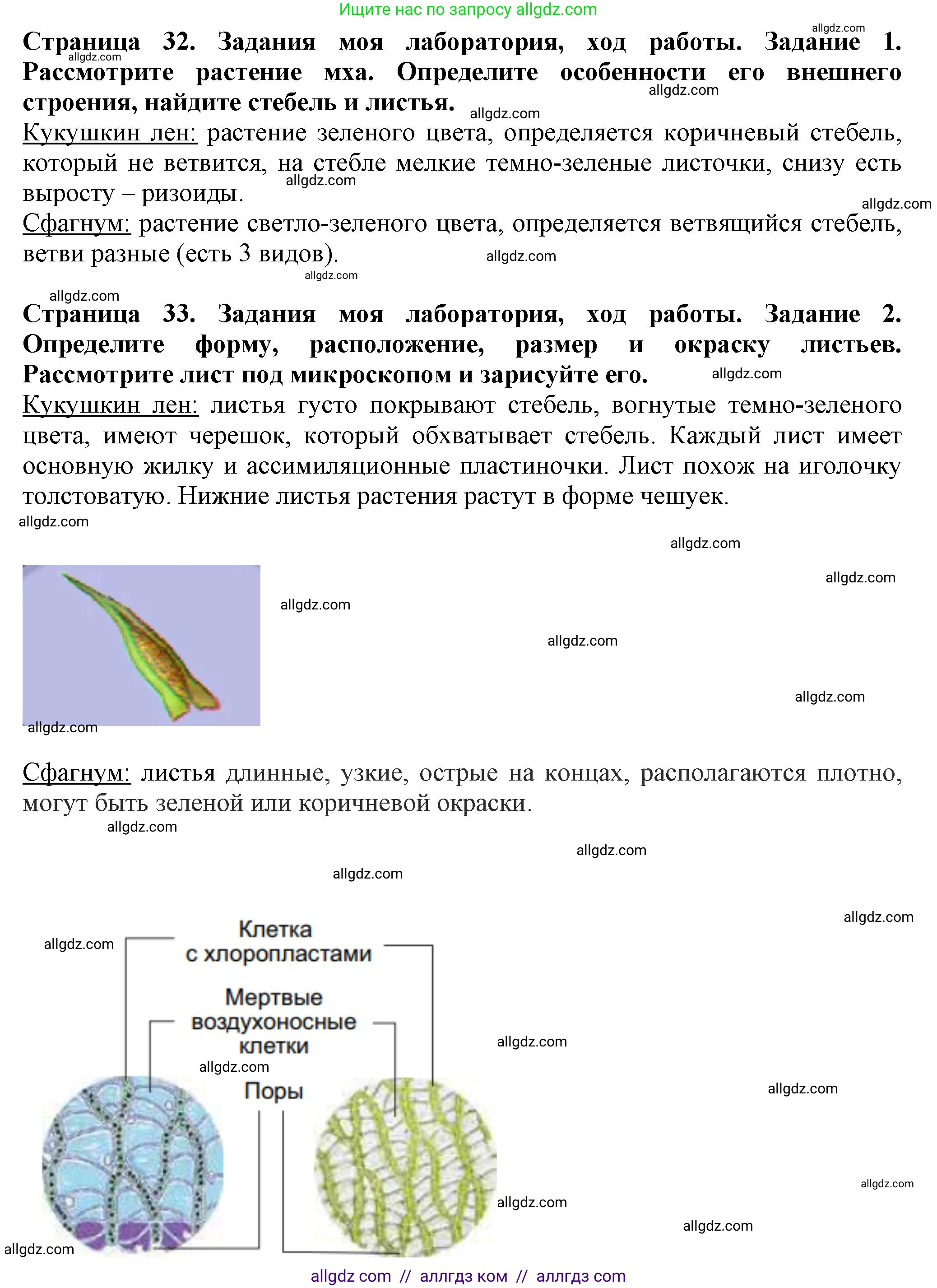Биология, 7 класс Учебник, авторы: Пасечник Владимир Васильевич, Суматохин Сергей Витальевич, Гапонюк Зоя Георгиевна, Швецов Глеб Геннадьевич, издательство Просвещение, Москва, 2023, бирюзового цвета, страница 32, Решение 1