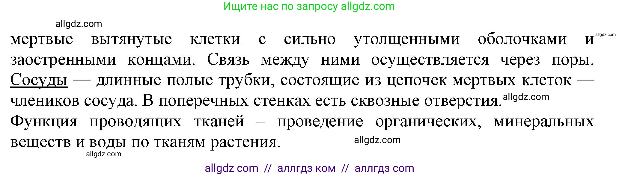 Биология, 7 класс Учебник, авторы: Пасечник Владимир Васильевич, Суматохин Сергей Витальевич, Гапонюк Зоя Георгиевна, Швецов Глеб Геннадьевич, издательство Просвещение, Москва, 2023, бирюзового цвета, страница 34, номер 2, Решение 1 (продолжение 2)