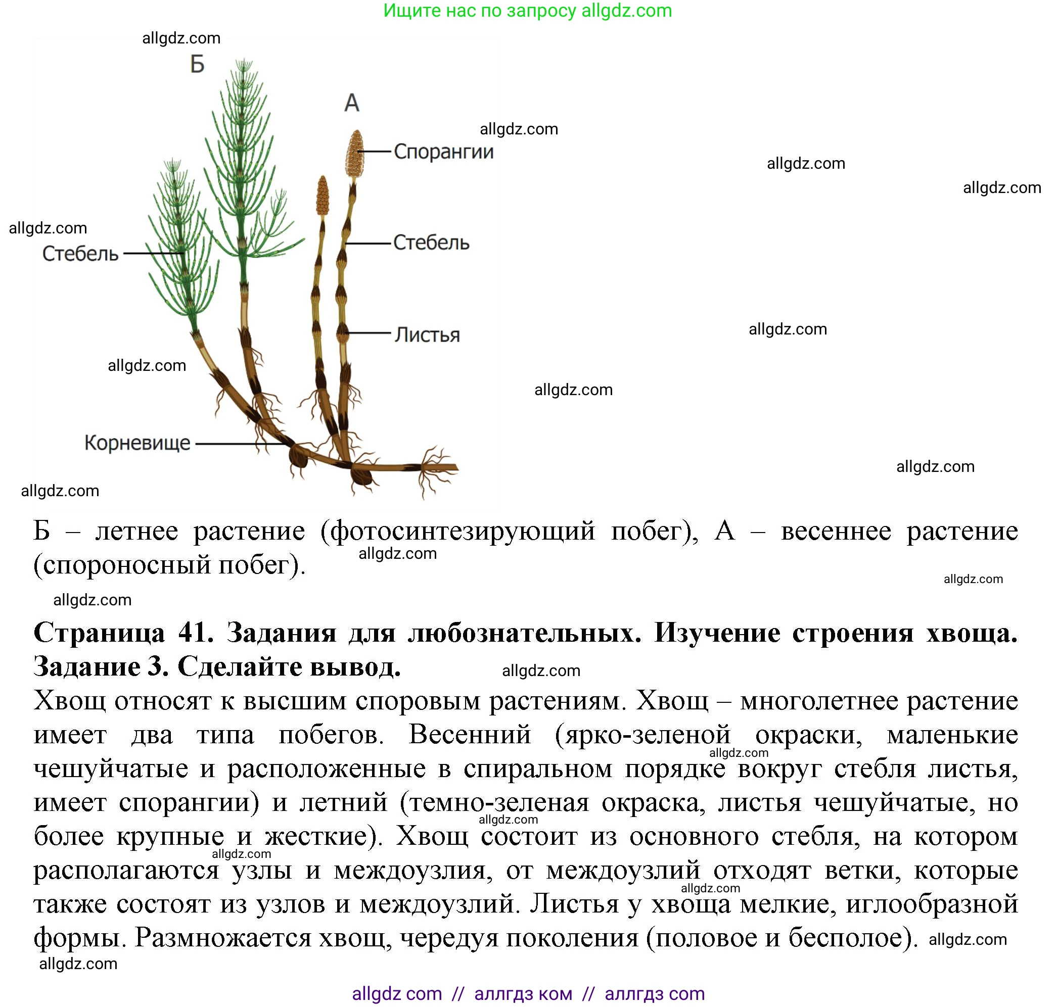 Биология, 7 класс Учебник, авторы: Пасечник Владимир Васильевич, Суматохин Сергей Витальевич, Гапонюк Зоя Георгиевна, Швецов Глеб Геннадьевич, издательство Просвещение, Москва, 2023, бирюзового цвета, страница 38, Решение 1 (продолжение 4)