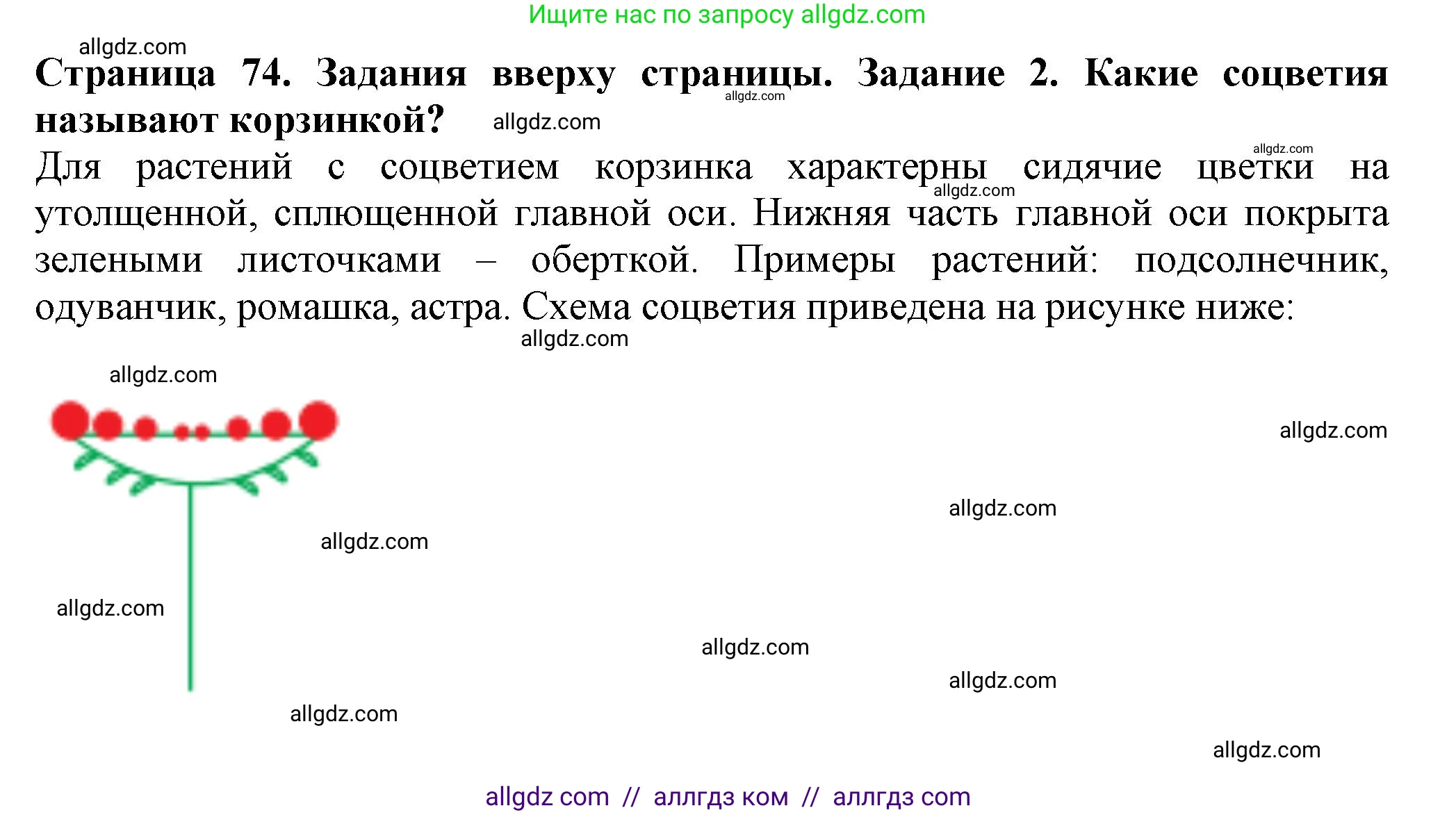 Биология, 7 класс Учебник, авторы: Пасечник Владимир Васильевич, Суматохин Сергей Витальевич, Гапонюк Зоя Георгиевна, Швецов Глеб Геннадьевич, издательство Просвещение, Москва, 2023, бирюзового цвета, страница 74, номер 2, Решение 1