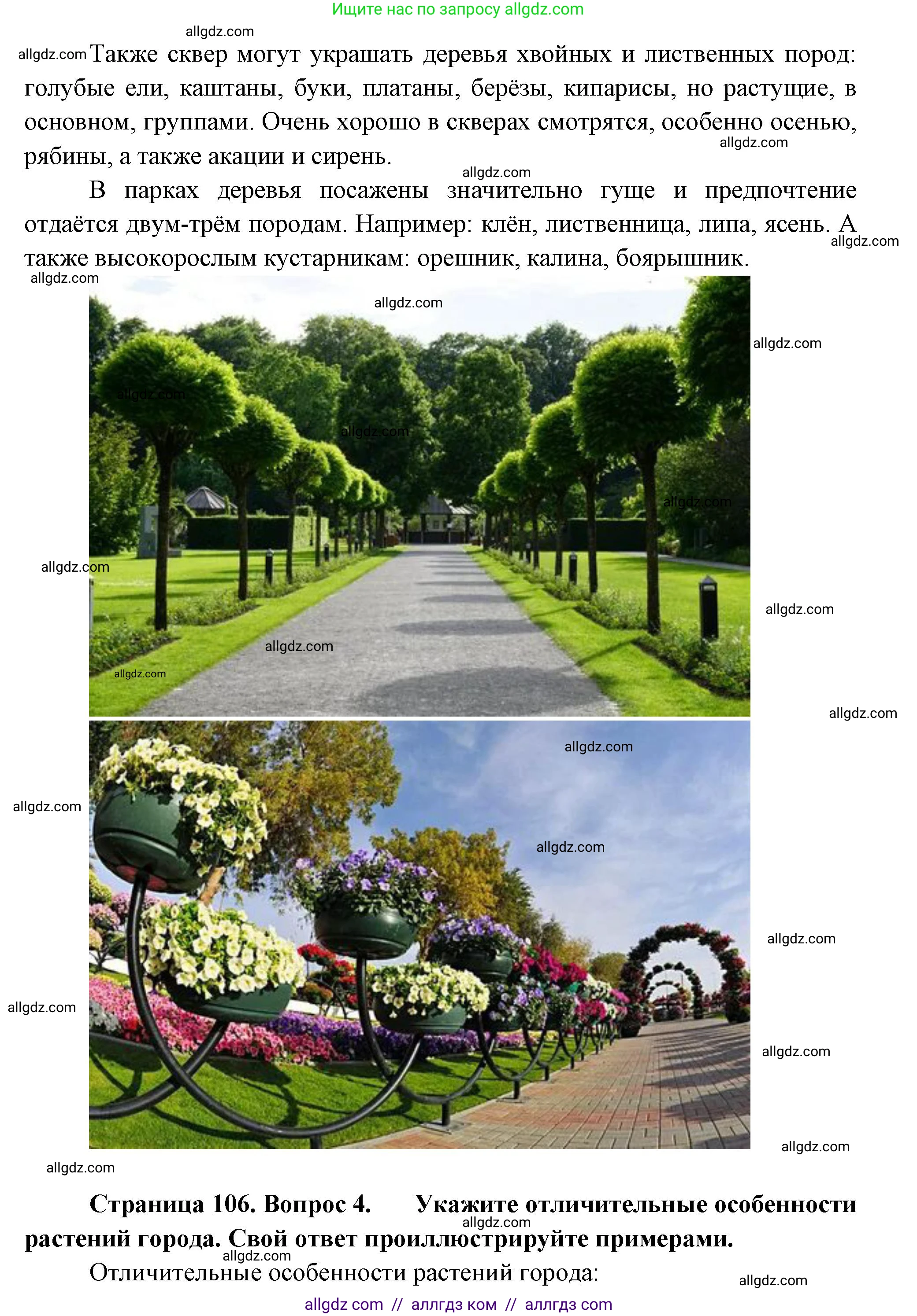 Биология, 7 класс Учебник, авторы: Пасечник Владимир Васильевич, Суматохин Сергей Витальевич, Гапонюк Зоя Георгиевна, Швецов Глеб Геннадьевич, издательство Просвещение, Москва, 2023, бирюзового цвета, страница 106, Решение 1 (продолжение 3)