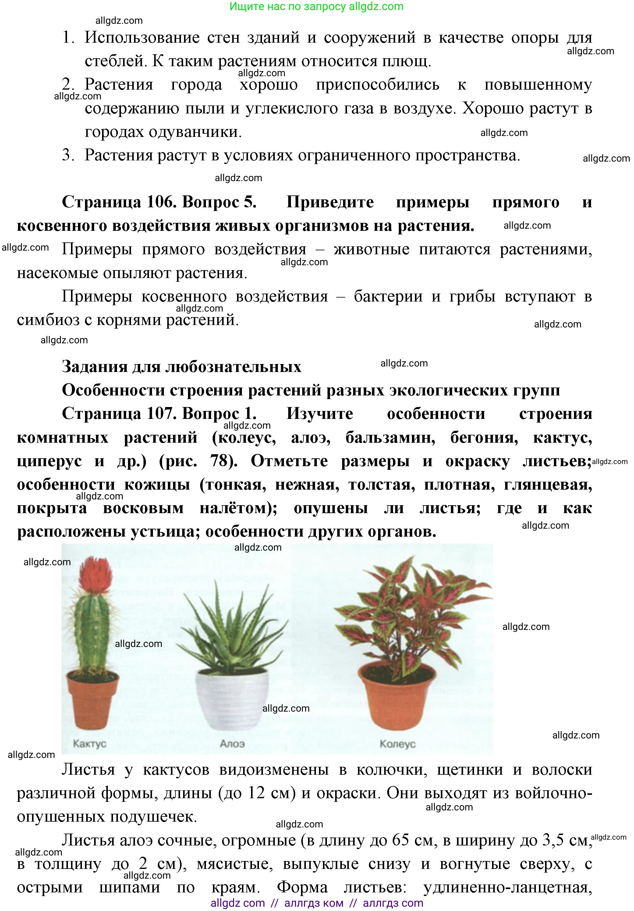 Биология, 7 класс Учебник, авторы: Пасечник Владимир Васильевич, Суматохин Сергей Витальевич, Гапонюк Зоя Георгиевна, Швецов Глеб Геннадьевич, издательство Просвещение, Москва, 2023, бирюзового цвета, страница 106, Решение 1 (продолжение 4)