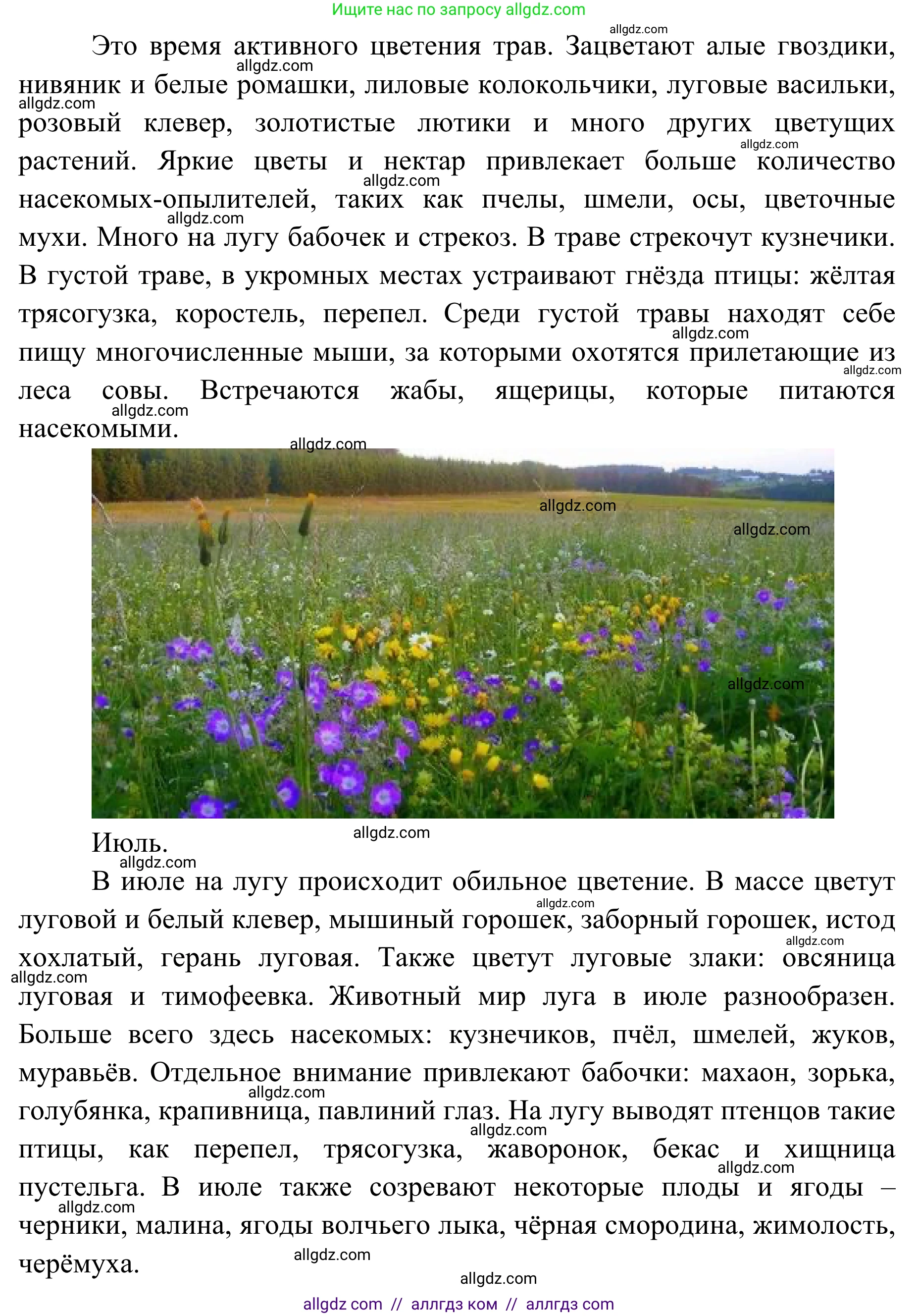 Биология, 7 класс Учебник, авторы: Пасечник Владимир Васильевич, Суматохин Сергей Витальевич, Гапонюк Зоя Георгиевна, Швецов Глеб Геннадьевич, издательство Просвещение, Москва, 2023, бирюзового цвета, страница 118, Решение 1 (продолжение 2)