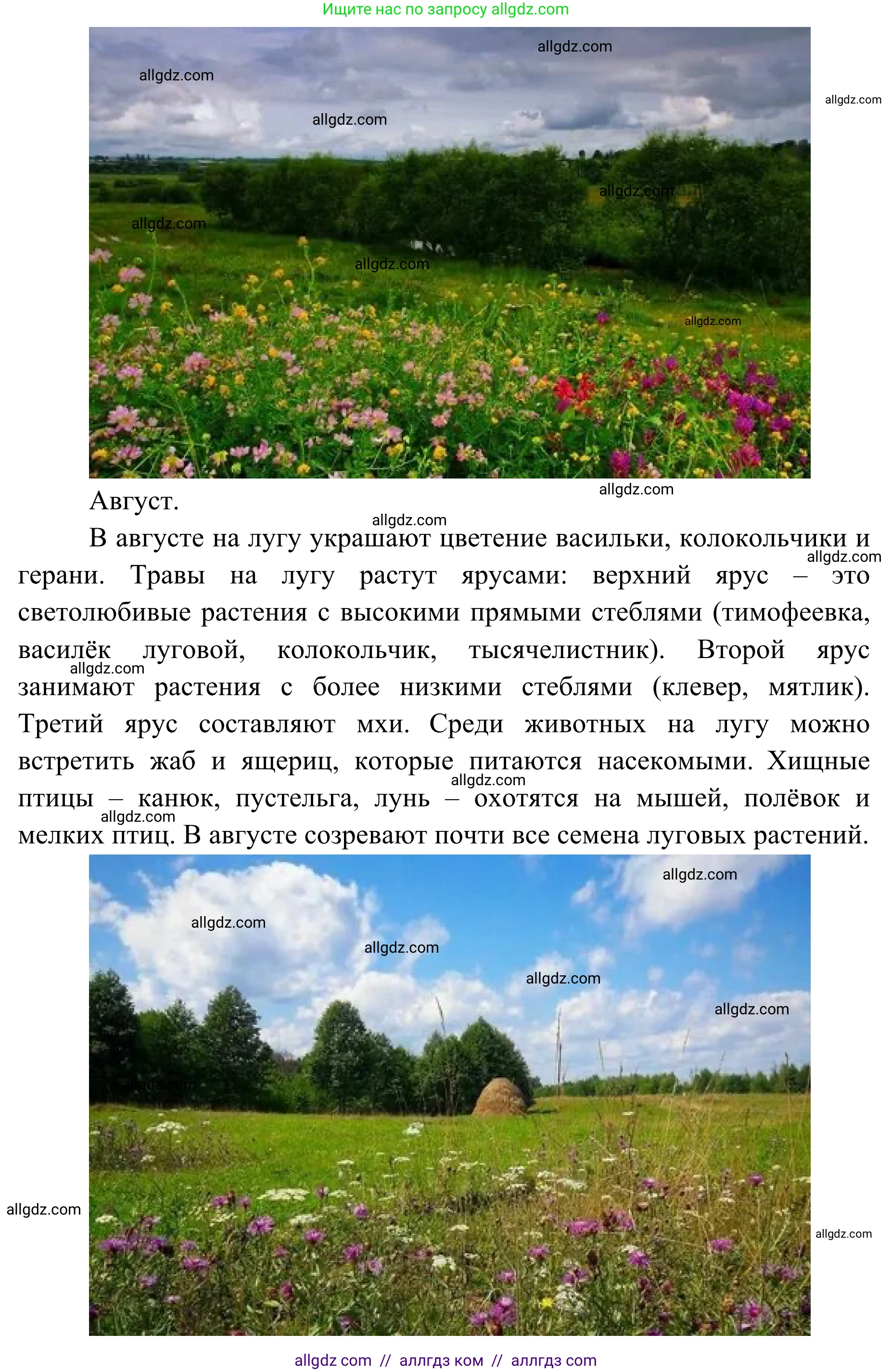 Биология, 7 класс Учебник, авторы: Пасечник Владимир Васильевич, Суматохин Сергей Витальевич, Гапонюк Зоя Георгиевна, Швецов Глеб Геннадьевич, издательство Просвещение, Москва, 2023, бирюзового цвета, страница 118, Решение 1 (продолжение 3)