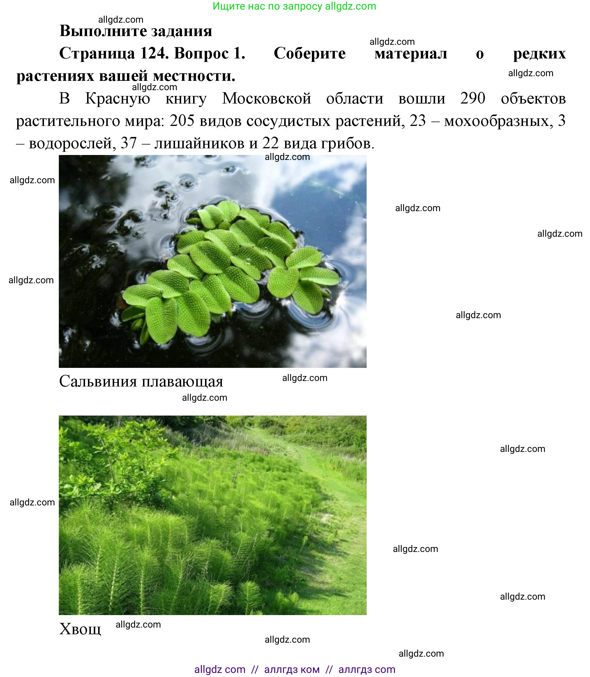 Биология, 7 класс Учебник, авторы: Пасечник Владимир Васильевич, Суматохин Сергей Витальевич, Гапонюк Зоя Георгиевна, Швецов Глеб Геннадьевич, издательство Просвещение, Москва, 2023, бирюзового цвета, страница 124, Решение 1