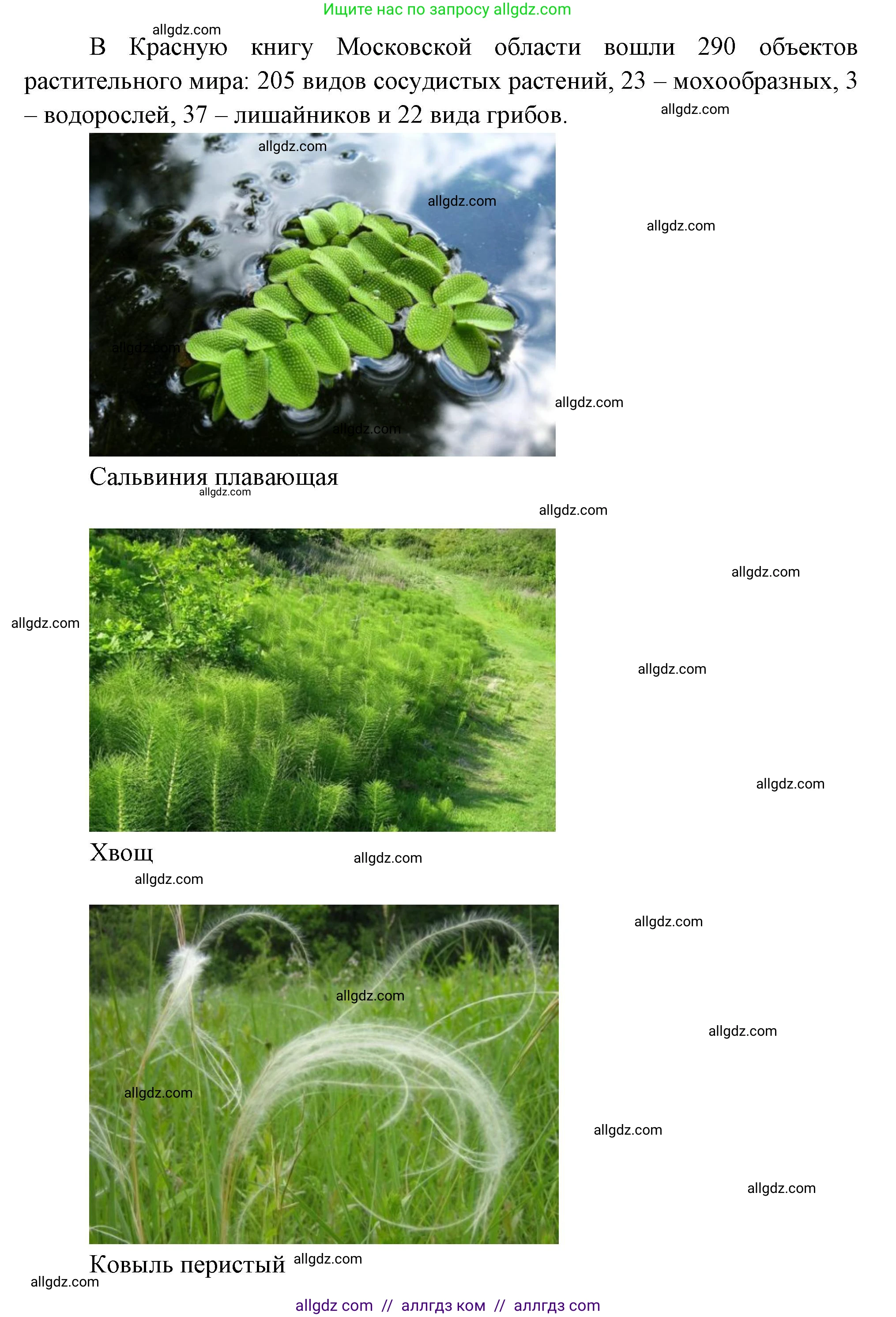 Биология, 7 класс Учебник, авторы: Пасечник Владимир Васильевич, Суматохин Сергей Витальевич, Гапонюк Зоя Георгиевна, Швецов Глеб Геннадьевич, издательство Просвещение, Москва, 2023, бирюзового цвета, страница 126, номер 5, Решение 1 (продолжение 2)