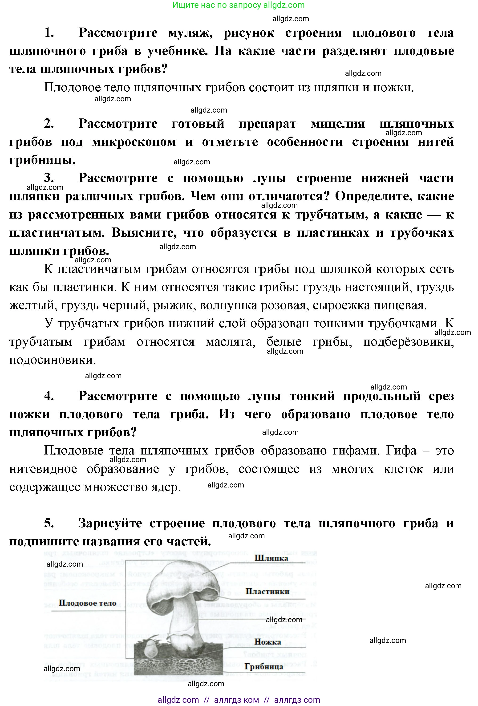 Биология, 7 класс Учебник, авторы: Пасечник Владимир Васильевич, Суматохин Сергей Витальевич, Гапонюк Зоя Георгиевна, Швецов Глеб Геннадьевич, издательство Просвещение, Москва, 2023, бирюзового цвета, страница 155, Решение 1 (продолжение 2)
