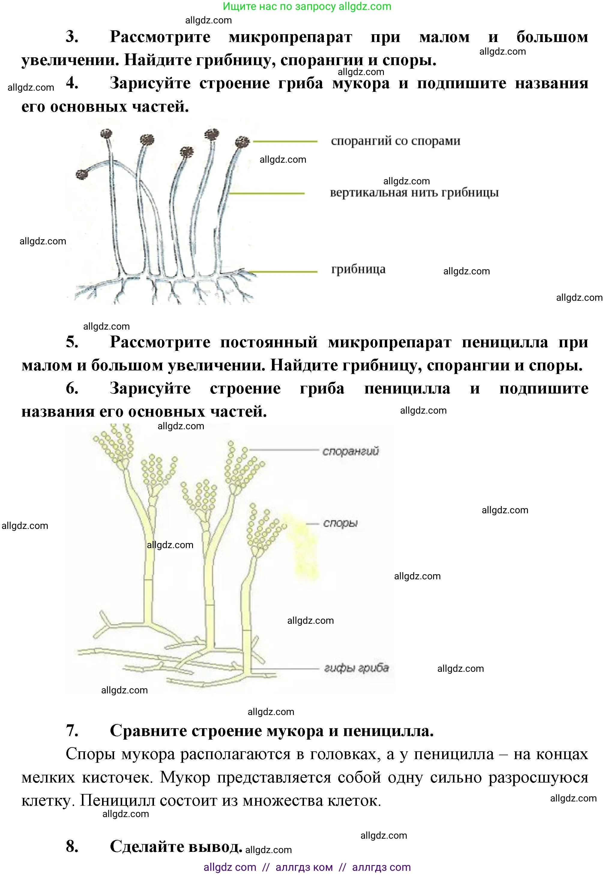 Биология, 7 класс Учебник, авторы: Пасечник Владимир Васильевич, Суматохин Сергей Витальевич, Гапонюк Зоя Георгиевна, Швецов Глеб Геннадьевич, издательство Просвещение, Москва, 2023, бирюзового цвета, страница 160, Решение 1 (продолжение 2)