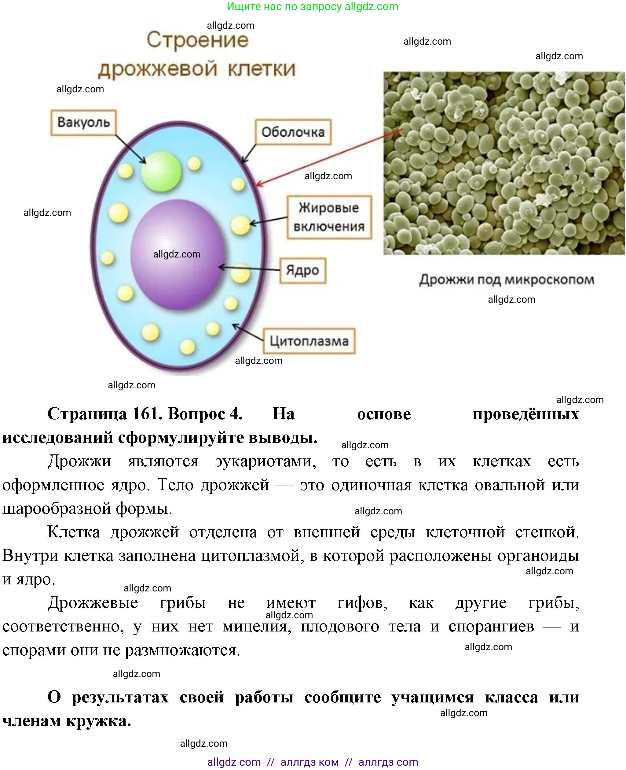 Биология, 7 класс Учебник, авторы: Пасечник Владимир Васильевич, Суматохин Сергей Витальевич, Гапонюк Зоя Георгиевна, Швецов Глеб Геннадьевич, издательство Просвещение, Москва, 2023, бирюзового цвета, страница 160, Решение 1 (продолжение 6)