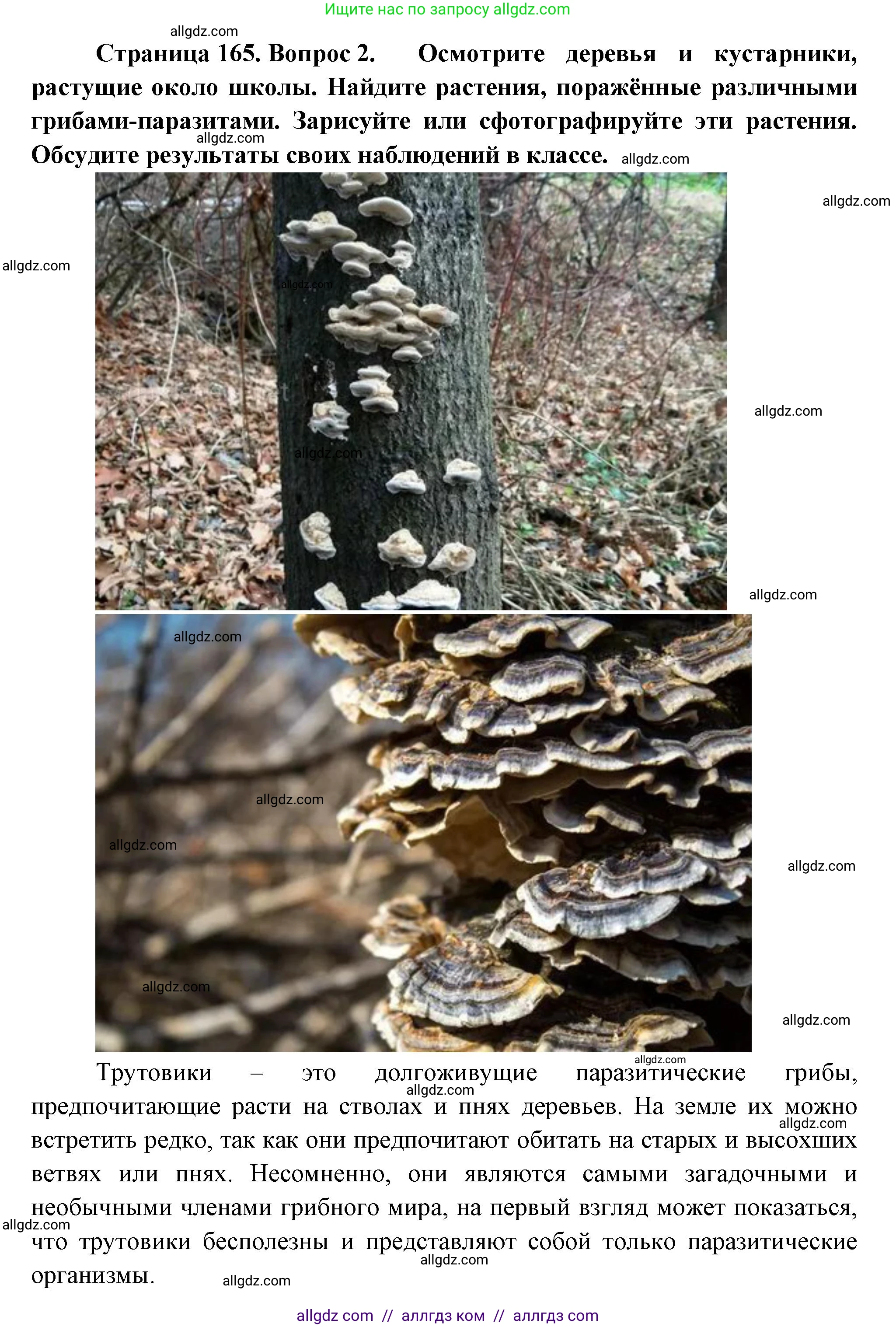 Биология, 7 класс Учебник, авторы: Пасечник Владимир Васильевич, Суматохин Сергей Витальевич, Гапонюк Зоя Георгиевна, Швецов Глеб Геннадьевич, издательство Просвещение, Москва, 2023, бирюзового цвета, страница 165, Решение 1 (продолжение 3)