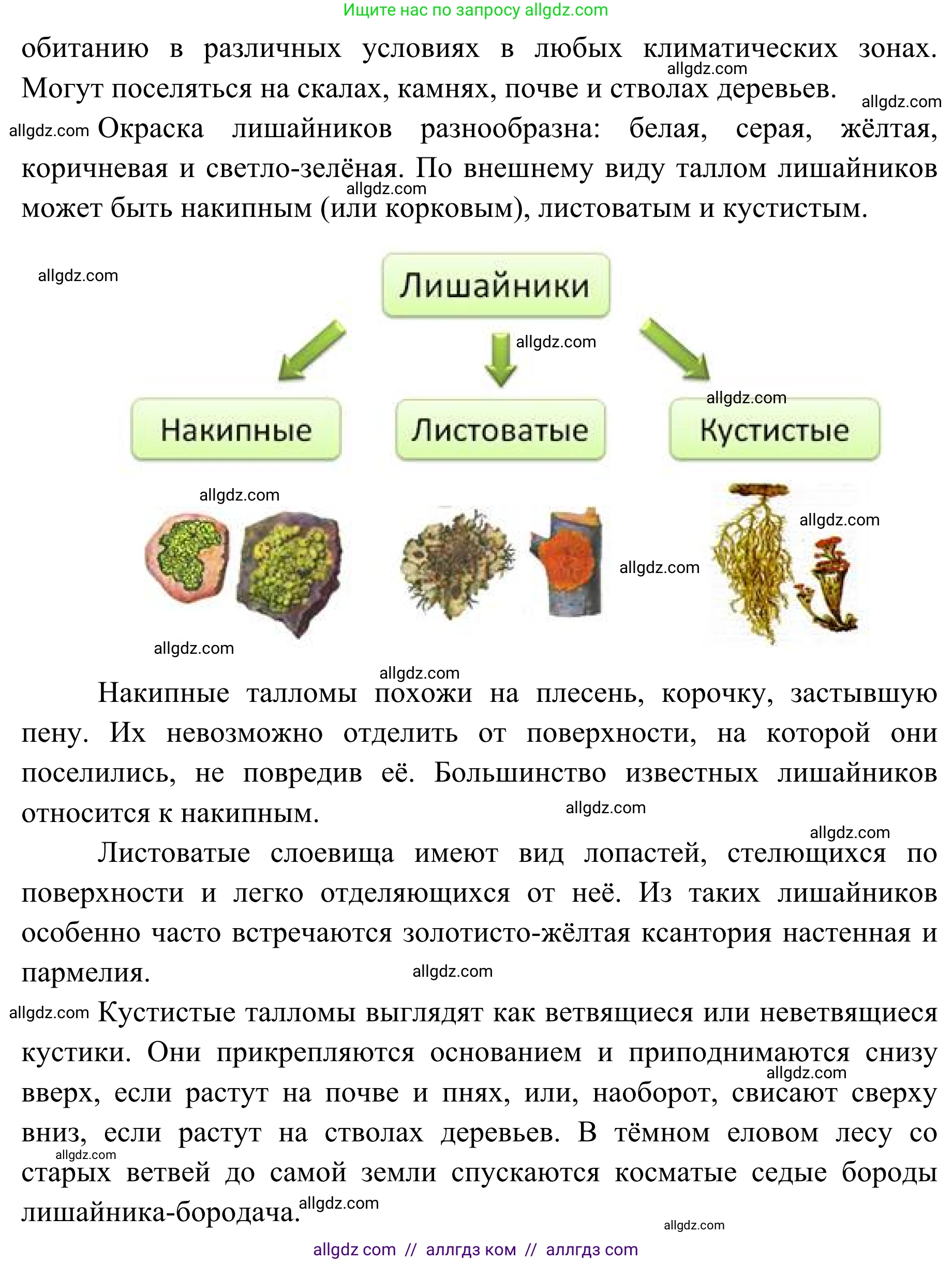 Биология, 7 класс Учебник, авторы: Пасечник Владимир Васильевич, Суматохин Сергей Витальевич, Гапонюк Зоя Георгиевна, Швецов Глеб Геннадьевич, издательство Просвещение, Москва, 2023, бирюзового цвета, страница 171, Решение 1 (продолжение 2)