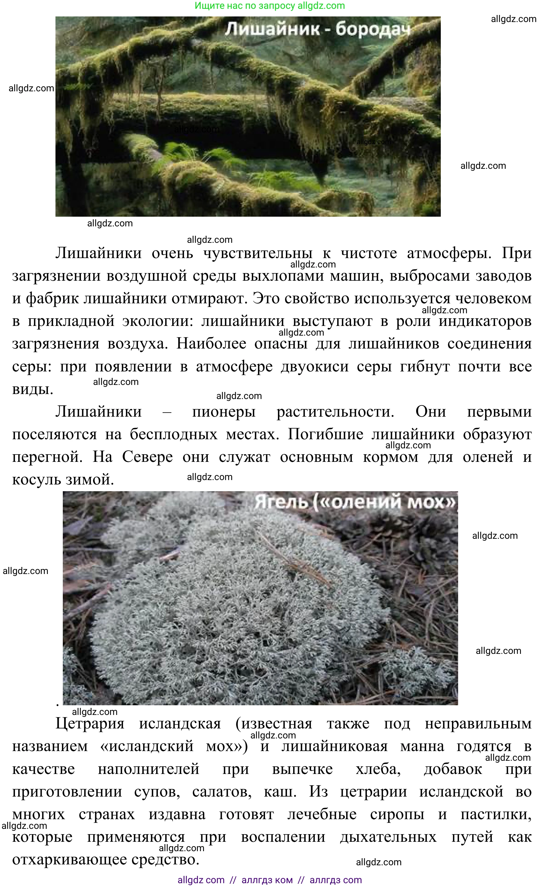 Биология, 7 класс Учебник, авторы: Пасечник Владимир Васильевич, Суматохин Сергей Витальевич, Гапонюк Зоя Георгиевна, Швецов Глеб Геннадьевич, издательство Просвещение, Москва, 2023, бирюзового цвета, страница 171, Решение 1 (продолжение 3)