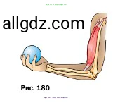 Физика, 7 класс Учебник, авторы: Пёрышкин И М, Иванов Александр Иванович, издательство Просвещение, Москва, 2023, белого цвета, страница 190, номер 2, Условие (продолжение 2)