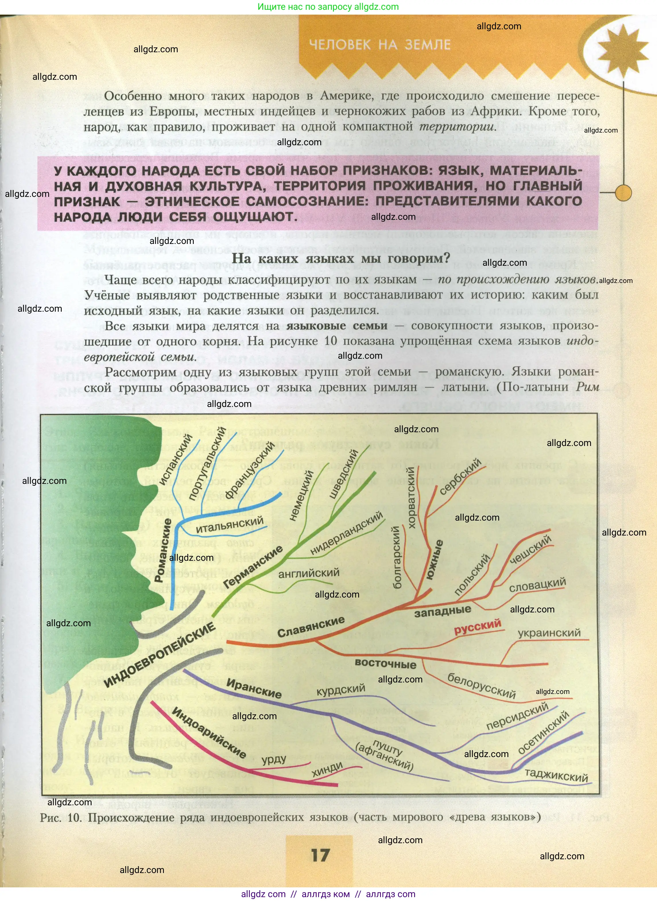 География, 7 класс Учебник, авторы: Алексеев Александр Иванович, Николина Вера Викторовна, Липкина Елена Карловна, Болысов Сергей Иванович, Ачкасова Татьяна Анатольевна, Кузнецова Галина Юрьевна, издательство Просвещение, Москва, 2023, жёлтого цвета, страница 17