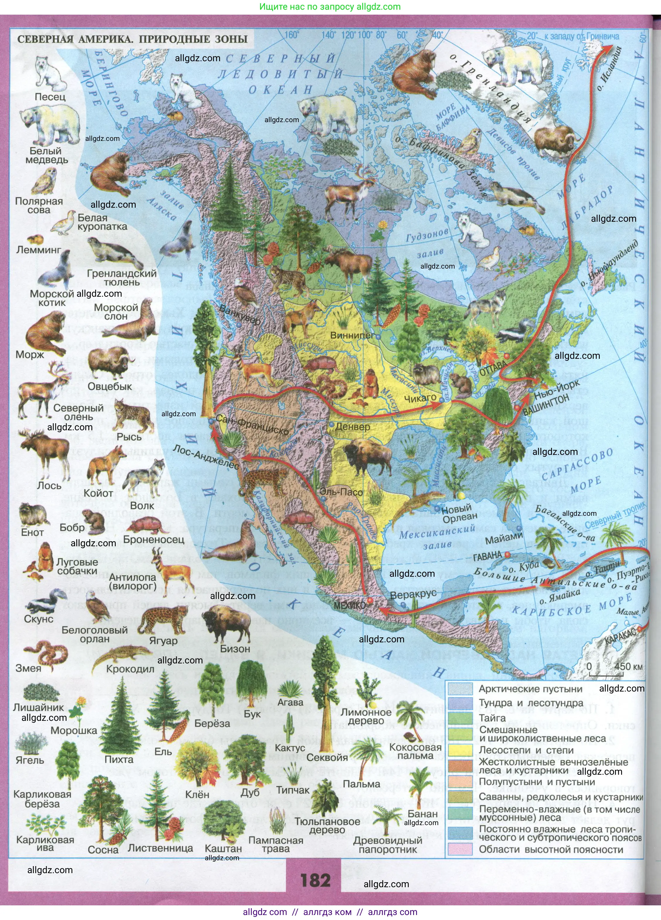 География, 7 класс Учебник, авторы: Алексеев Александр Иванович, Николина Вера Викторовна, Липкина Елена Карловна, Болысов Сергей Иванович, Ачкасова Татьяна Анатольевна, Кузнецова Галина Юрьевна, издательство Просвещение, Москва, 2023, жёлтого цвета, страница 182