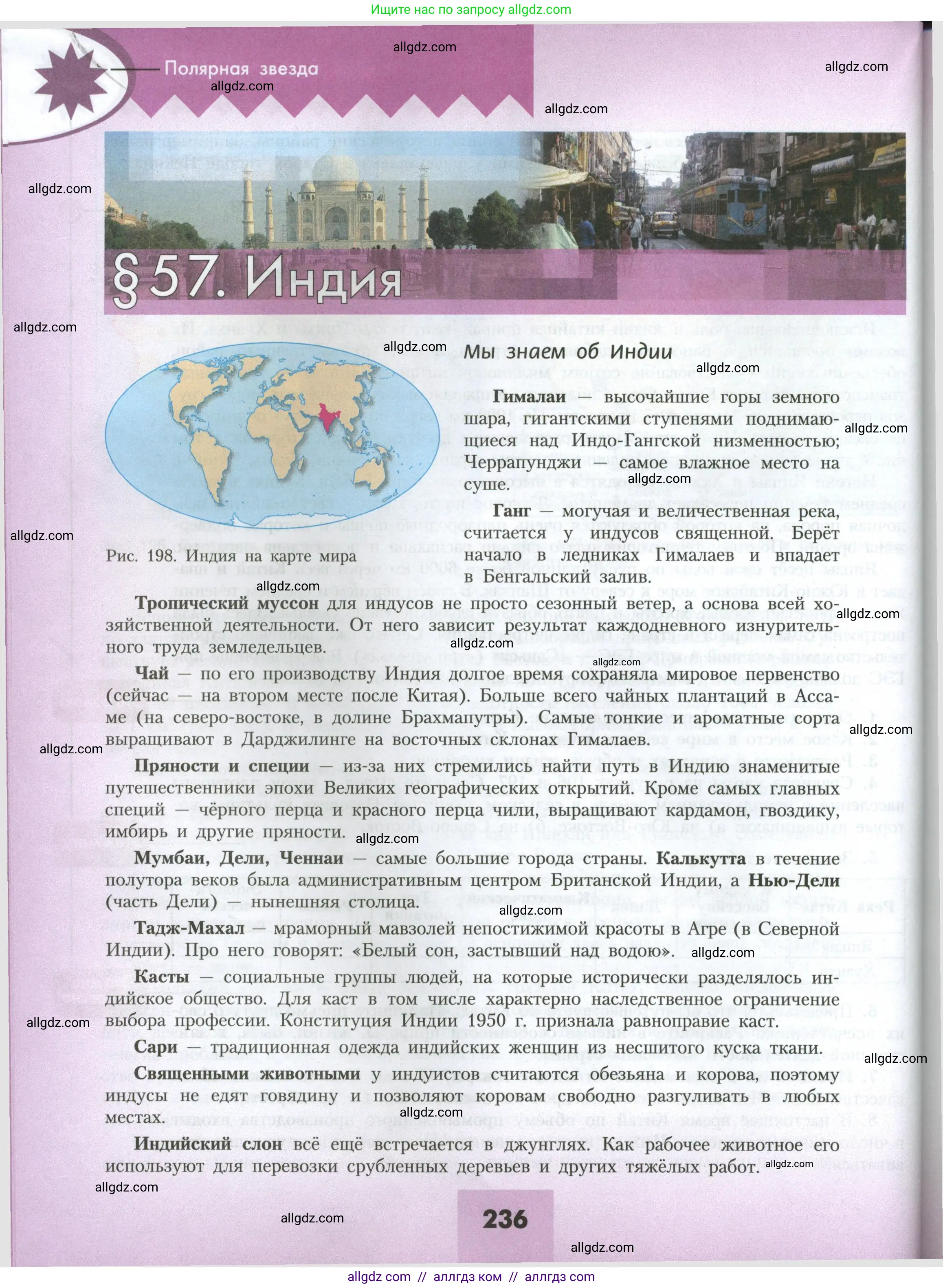 География, 7 класс Учебник, авторы: Алексеев Александр Иванович, Николина Вера Викторовна, Липкина Елена Карловна, Болысов Сергей Иванович, Ачкасова Татьяна Анатольевна, Кузнецова Галина Юрьевна, издательство Просвещение, Москва, 2023, жёлтого цвета, страница 236