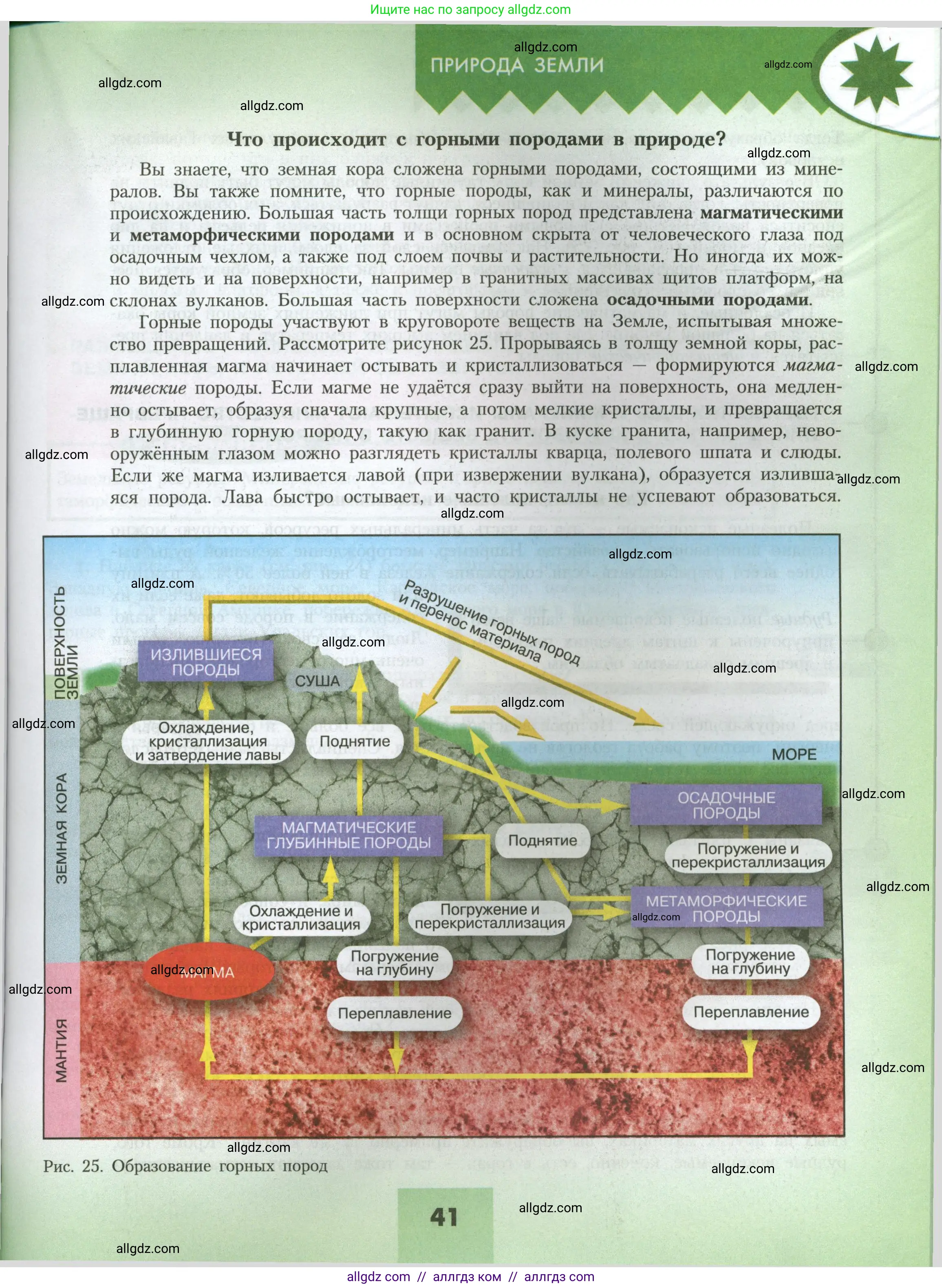 География, 7 класс Учебник, авторы: Алексеев Александр Иванович, Николина Вера Викторовна, Липкина Елена Карловна, Болысов Сергей Иванович, Ачкасова Татьяна Анатольевна, Кузнецова Галина Юрьевна, издательство Просвещение, Москва, 2023, жёлтого цвета, страница 41