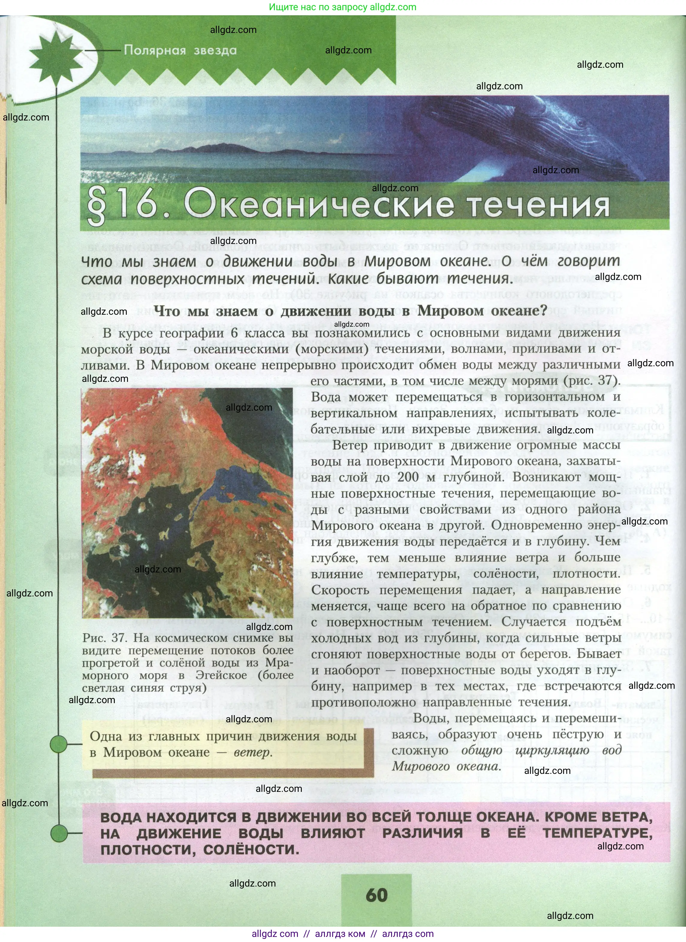 География, 7 класс Учебник, авторы: Алексеев Александр Иванович, Николина Вера Викторовна, Липкина Елена Карловна, Болысов Сергей Иванович, Ачкасова Татьяна Анатольевна, Кузнецова Галина Юрьевна, издательство Просвещение, Москва, 2023, жёлтого цвета, страница 60