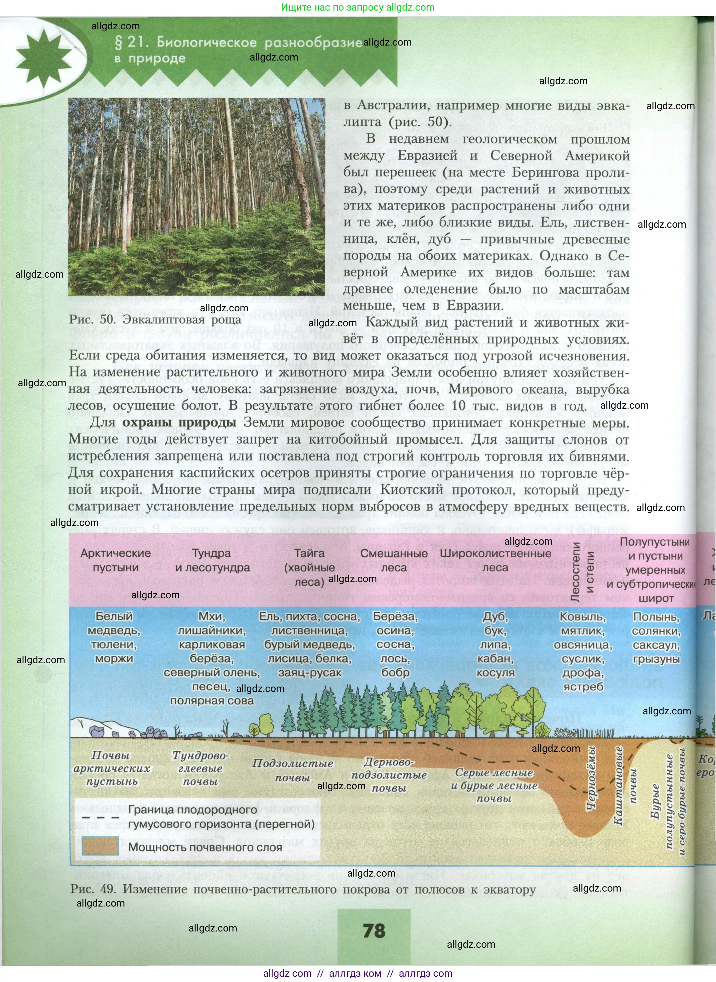 География, 7 класс Учебник, авторы: Алексеев Александр Иванович, Николина Вера Викторовна, Липкина Елена Карловна, Болысов Сергей Иванович, Ачкасова Татьяна Анатольевна, Кузнецова Галина Юрьевна, издательство Просвещение, Москва, 2023, жёлтого цвета, страница 78