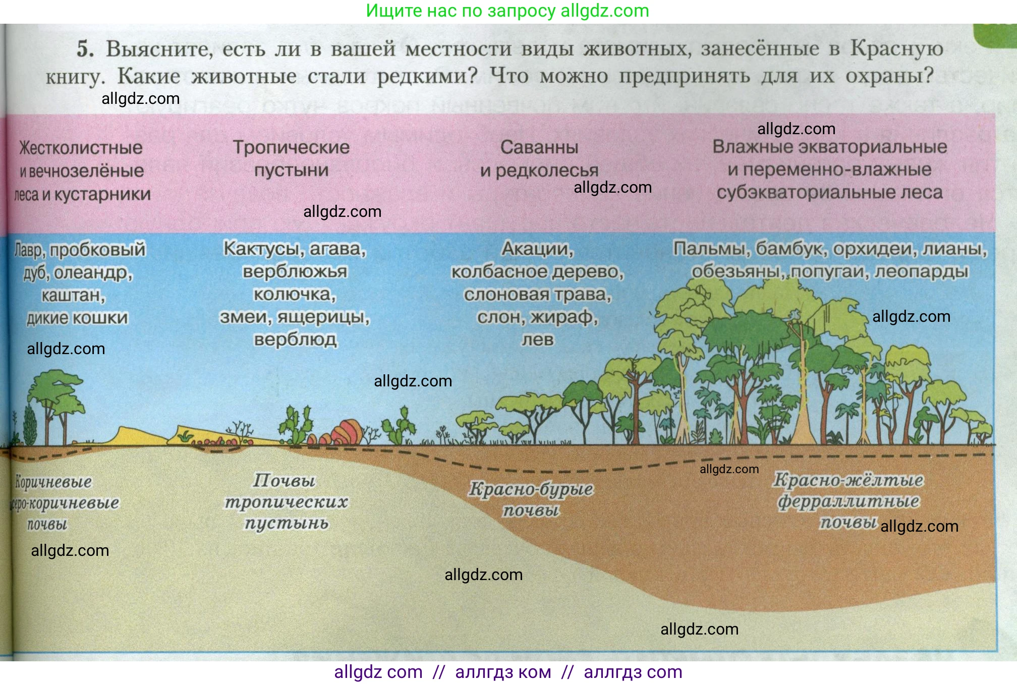 География, 7 класс Учебник, авторы: Алексеев Александр Иванович, Николина Вера Викторовна, Липкина Елена Карловна, Болысов Сергей Иванович, Ачкасова Татьяна Анатольевна, Кузнецова Галина Юрьевна, издательство Просвещение, Москва, 2023, жёлтого цвета, страница 79, номер 5, Условие 2023